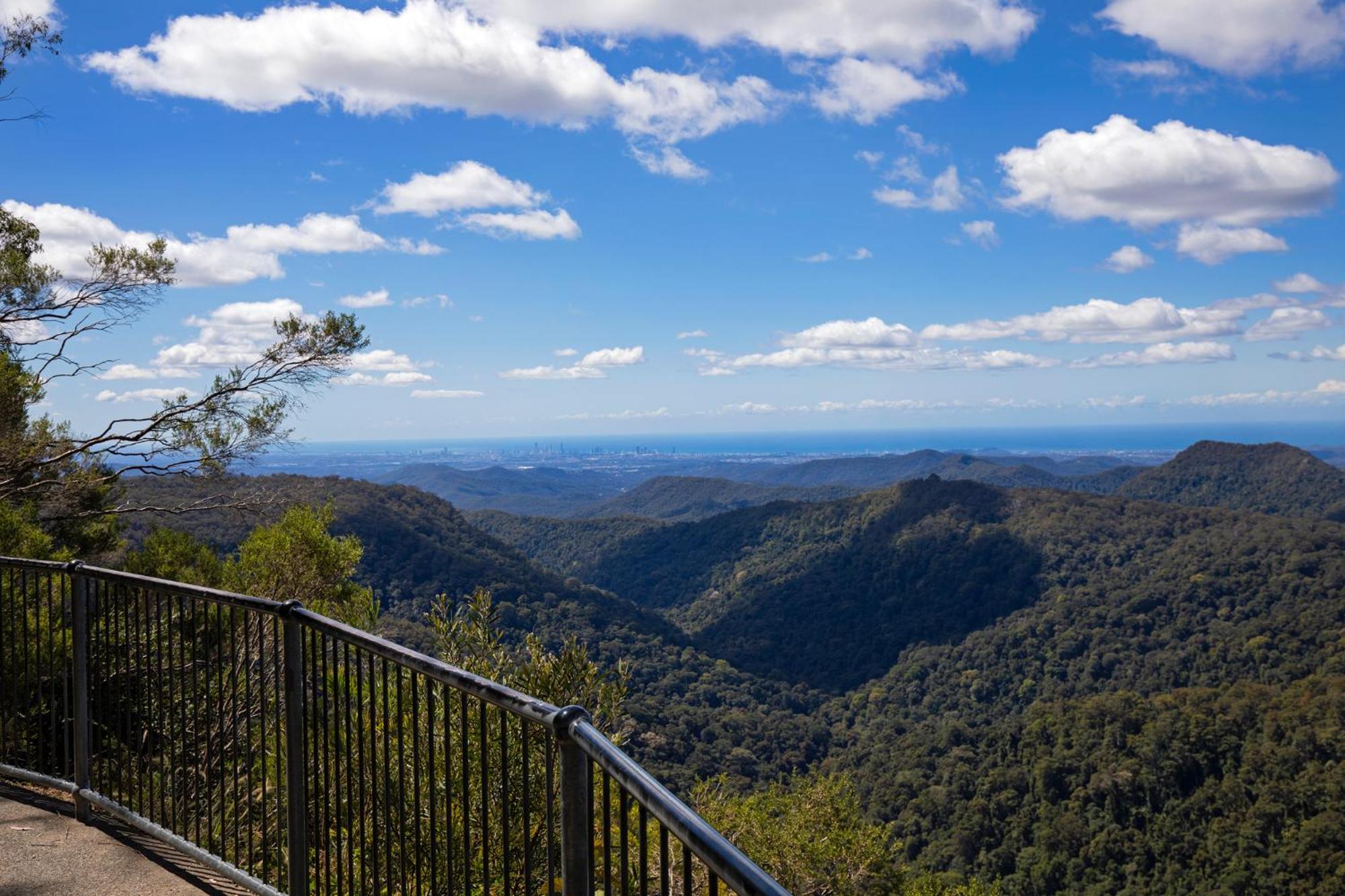 Rosella's On Springbrook