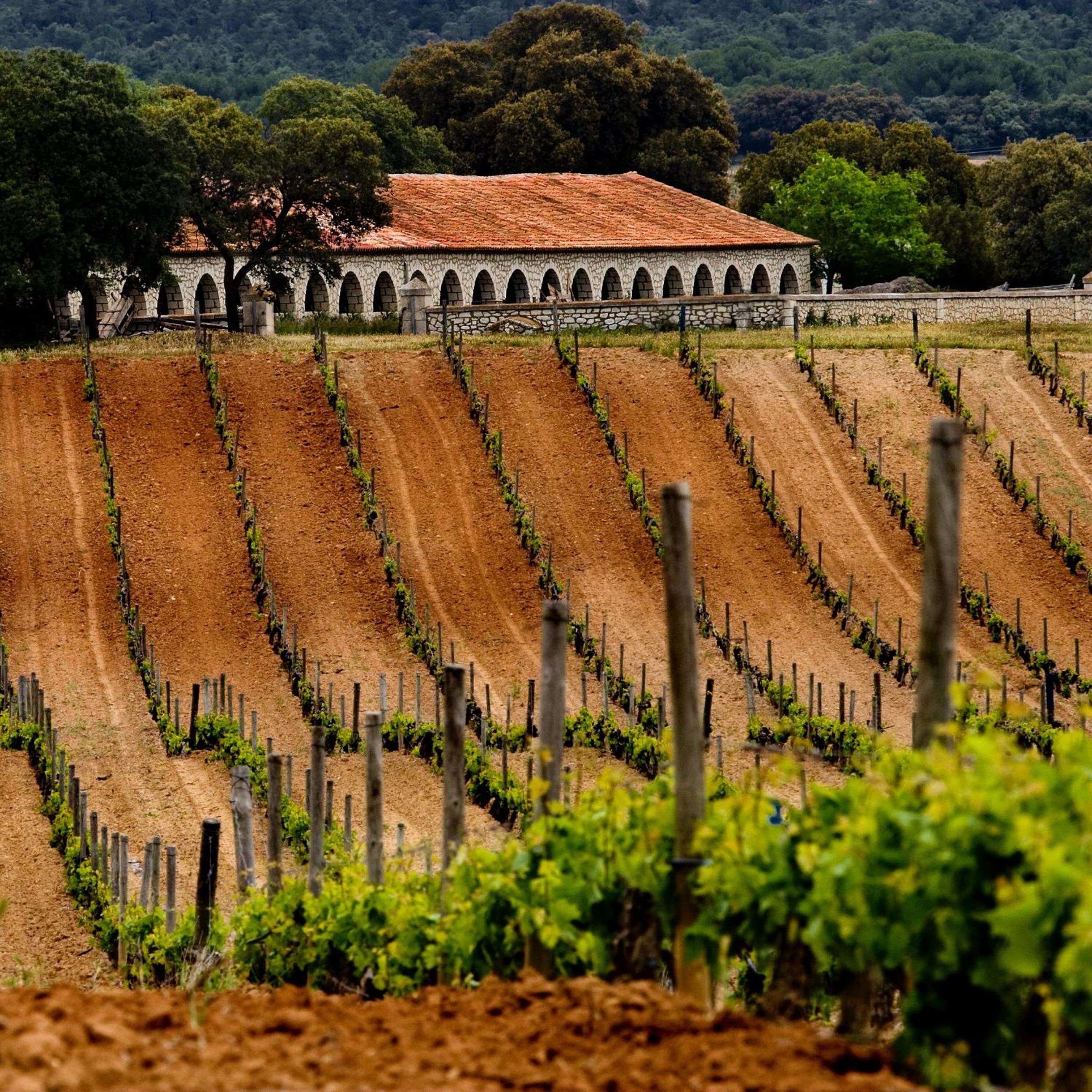 La Posada de Pradorey