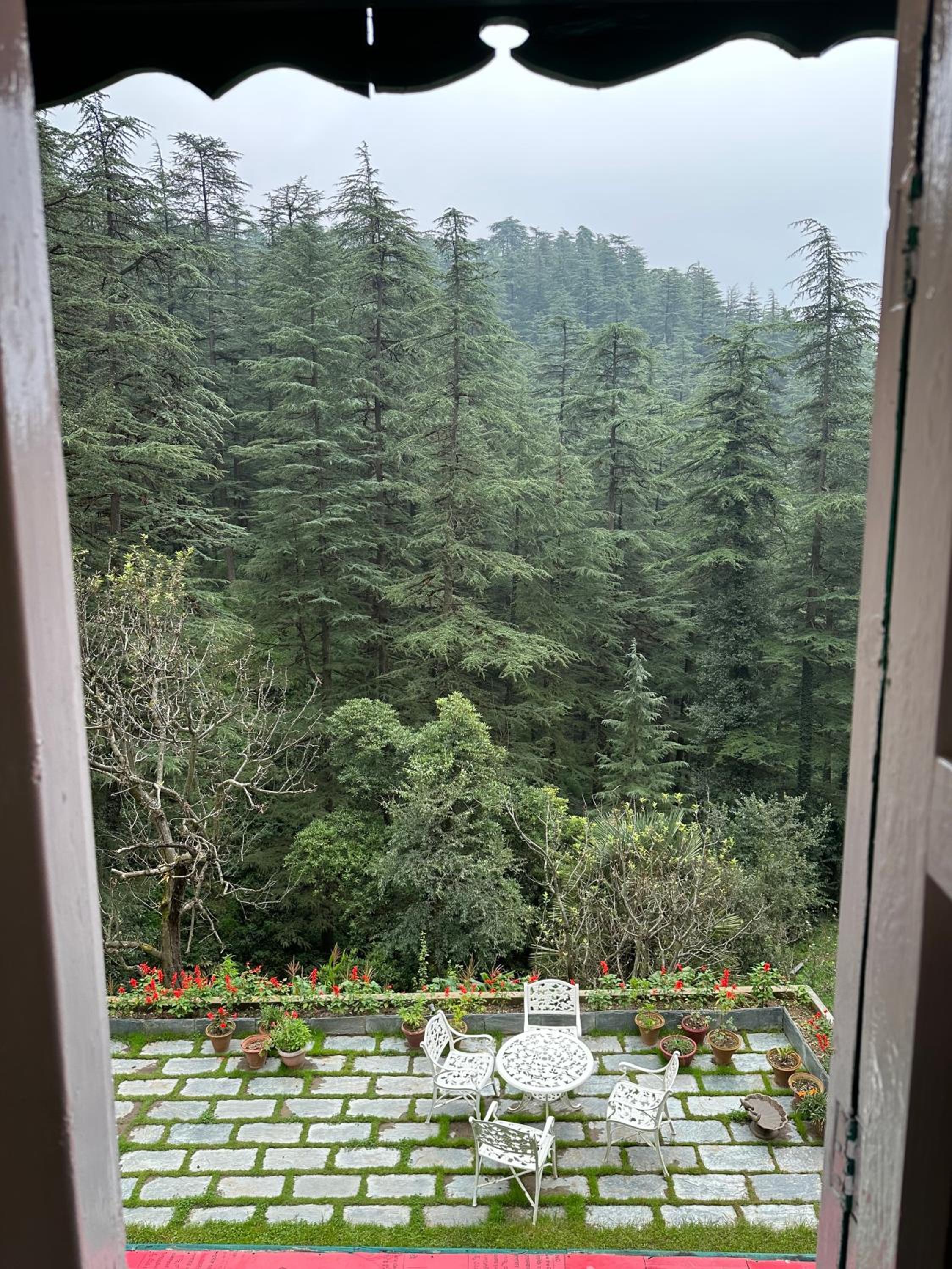 Dimple Lodge, Simla
