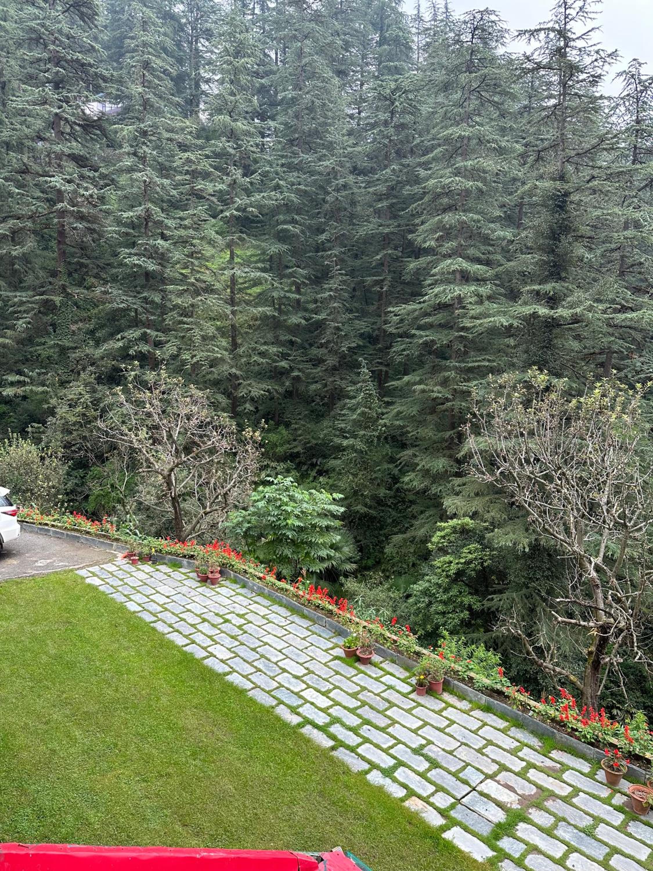 Dimple Lodge, Simla