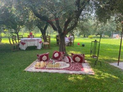 La Casa Gialla A MONTIGNOSO
