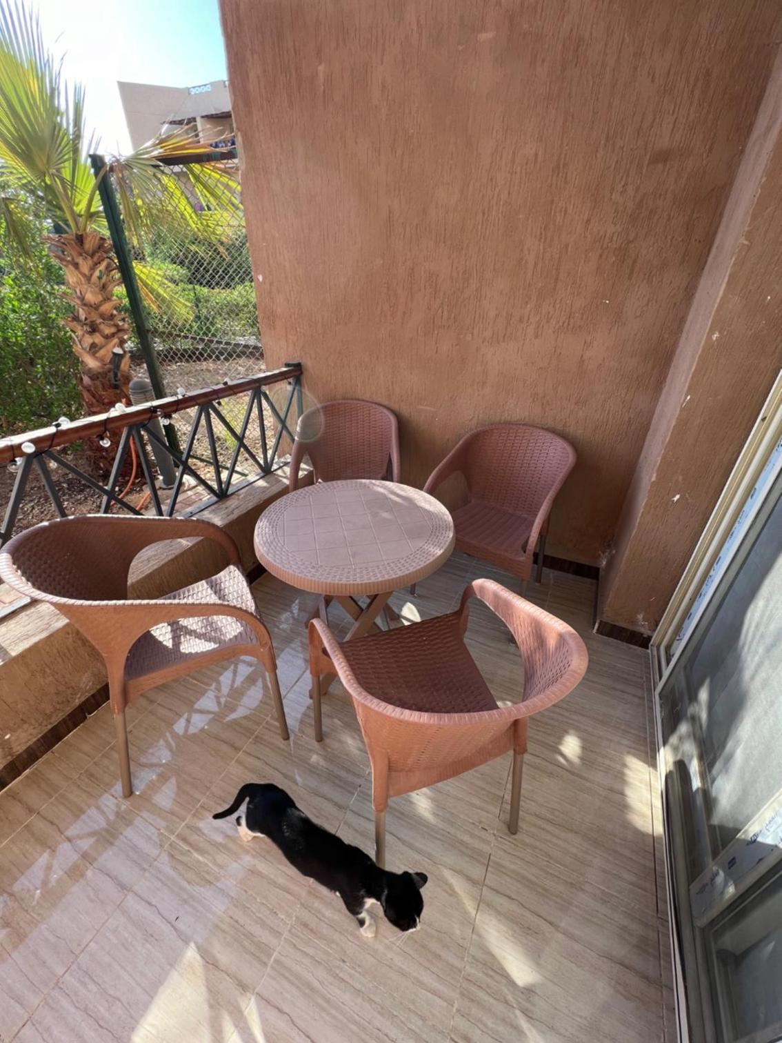 Cometa Beach Resort apartment in Nabq