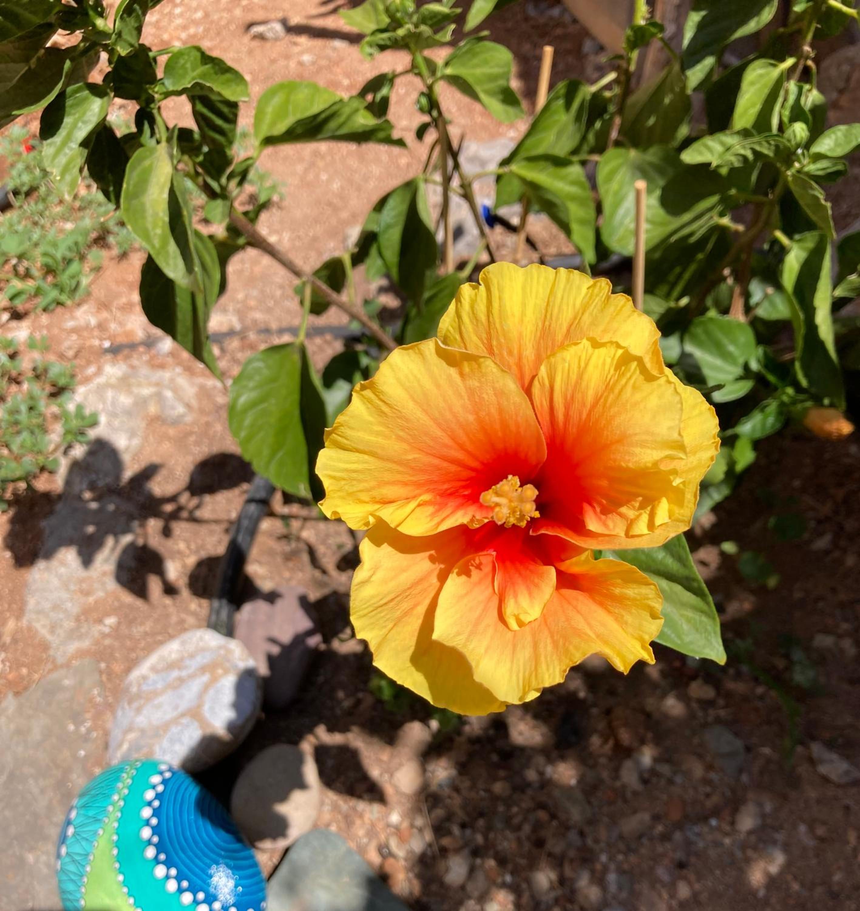 other