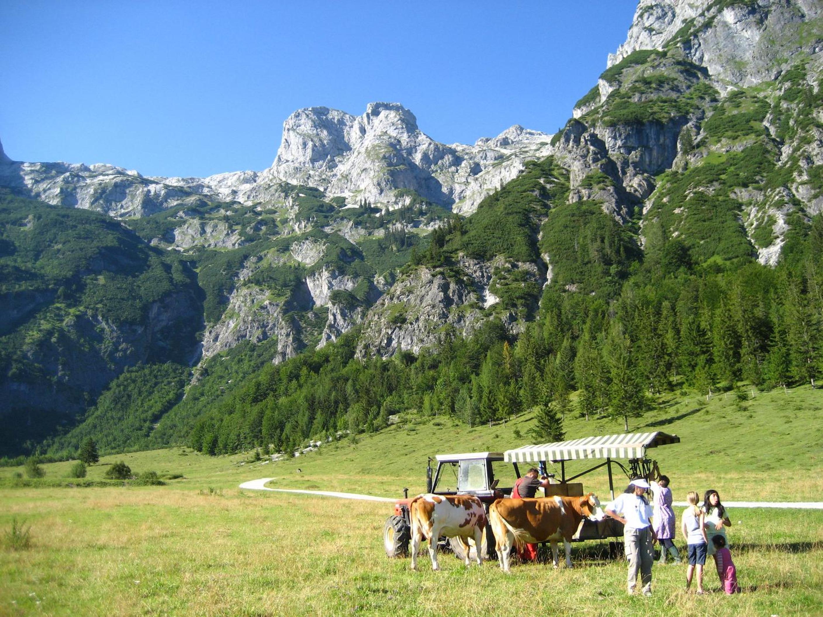 Bio Bauernhof Vorderoberlehen