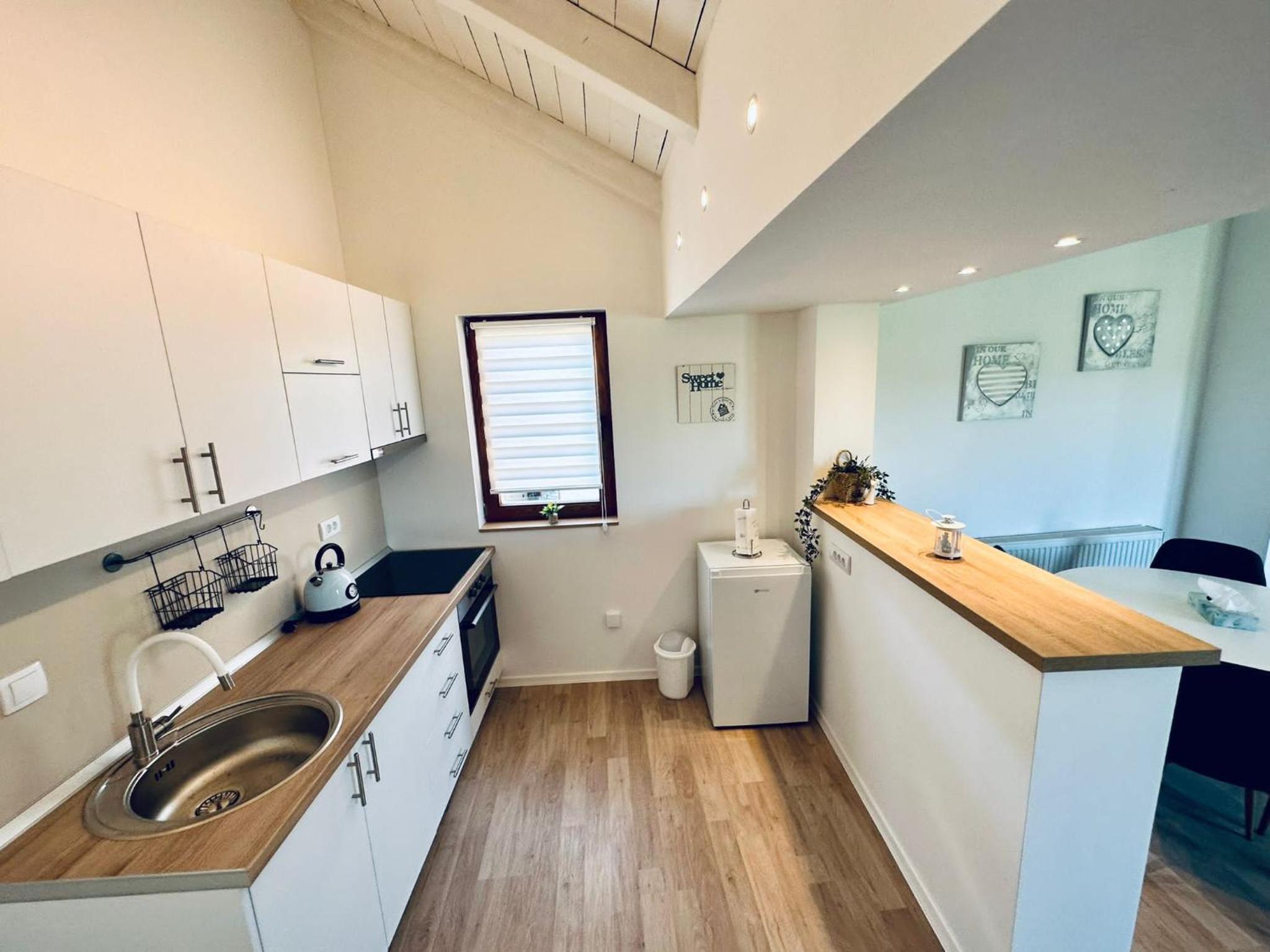 Vila Milincic Loft Milincic