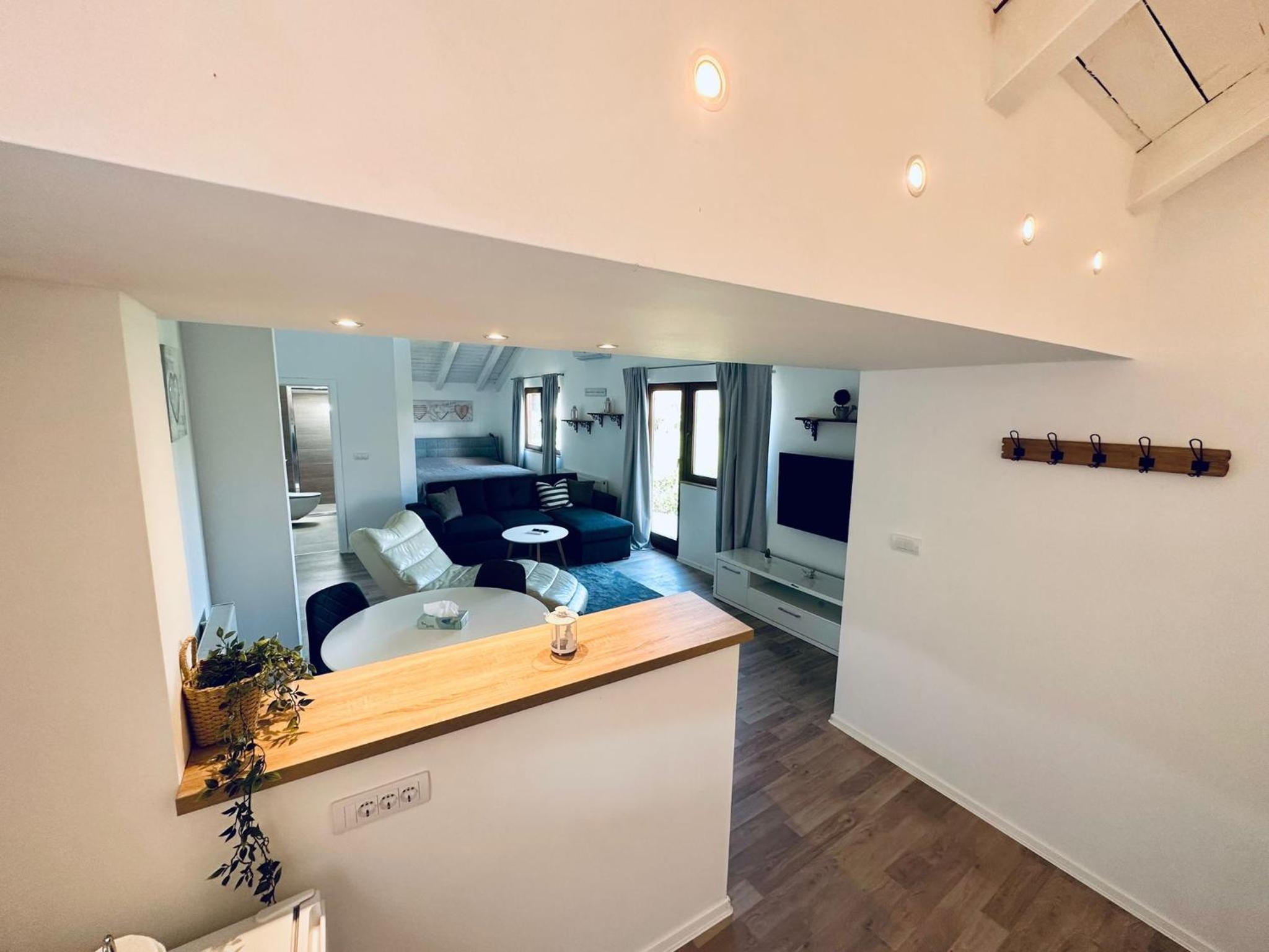 Vila Milincic Loft Milincic