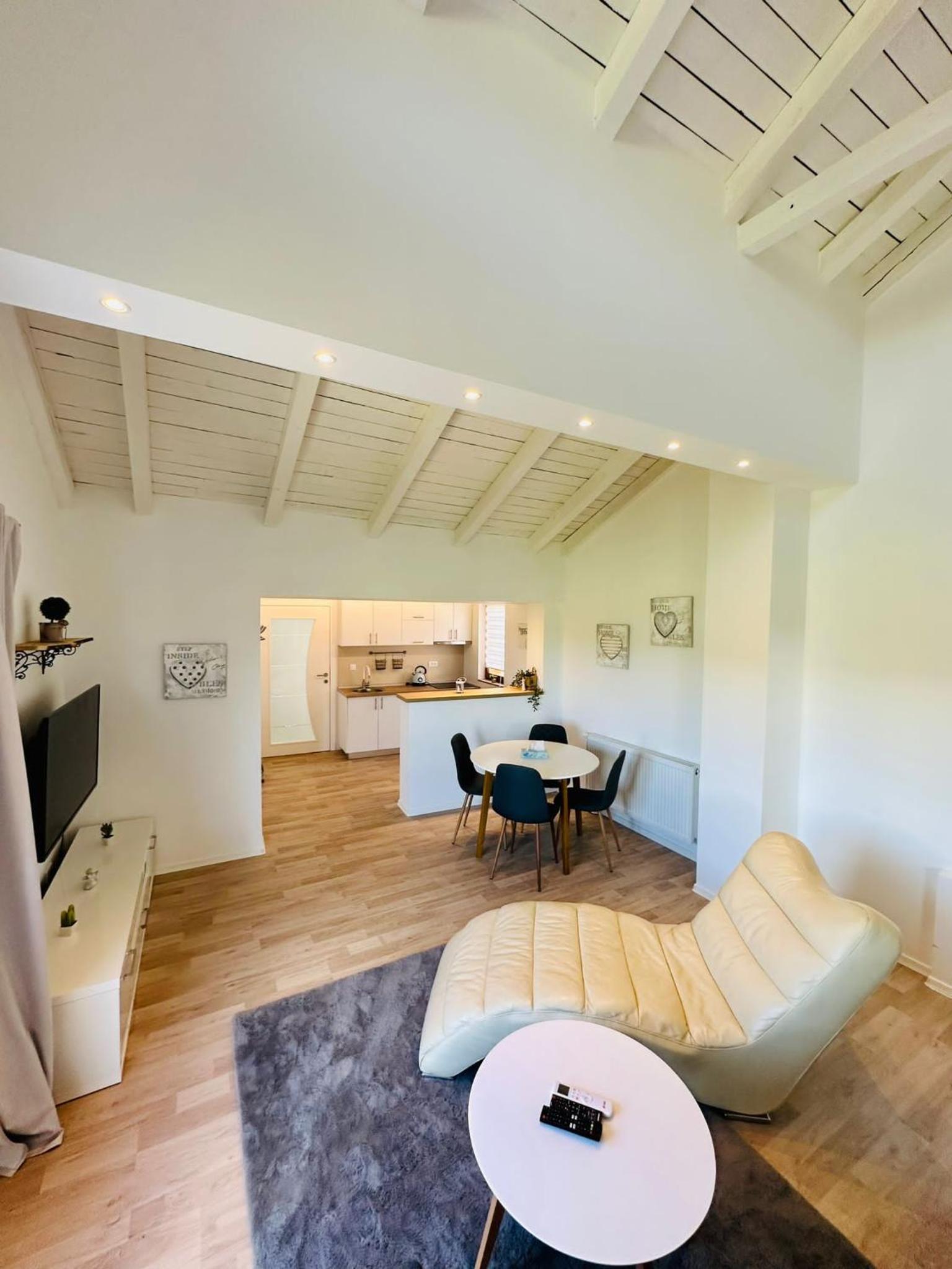 Vila Milincic Loft Milincic