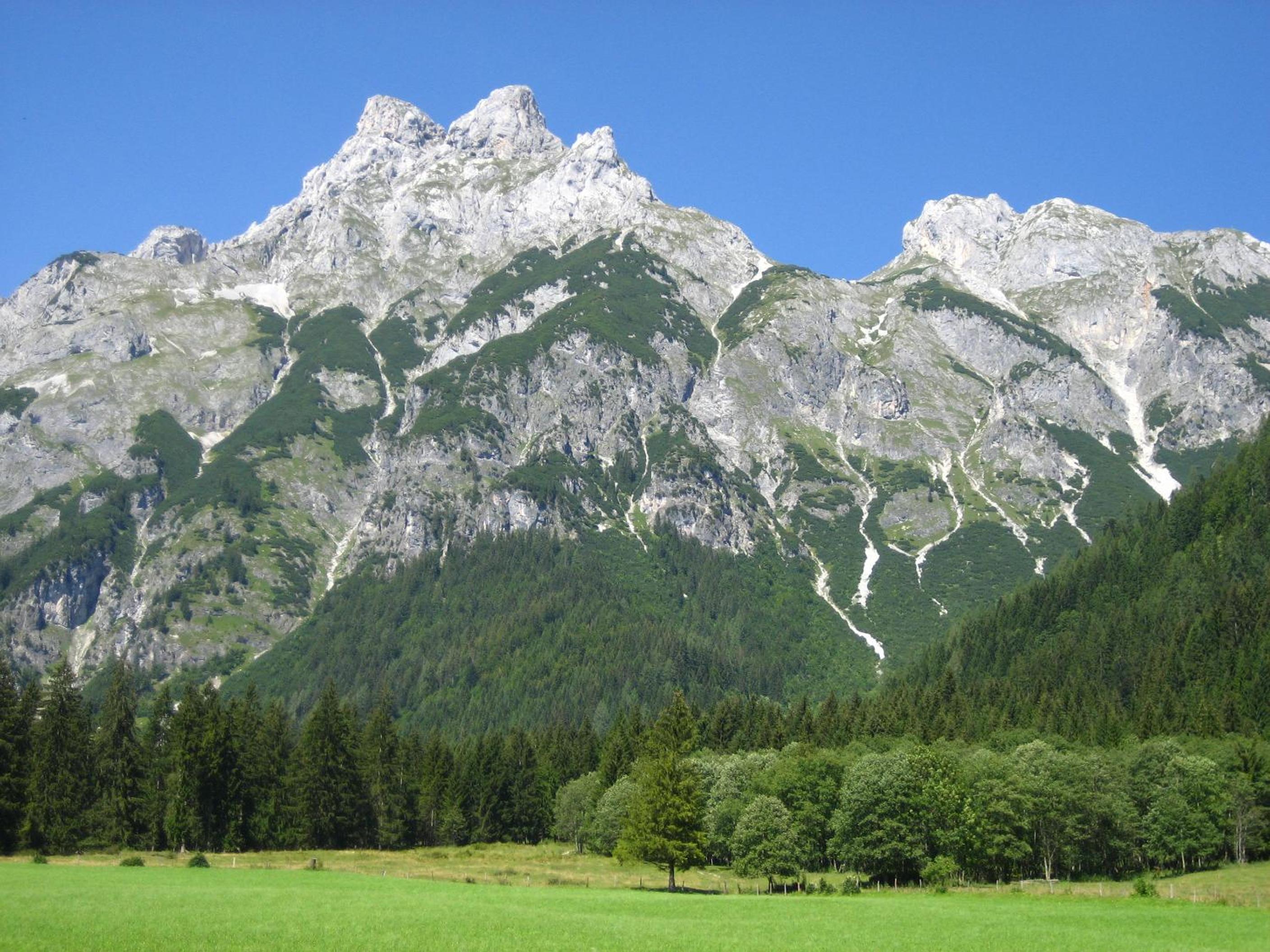 Bio Bauernhof Vorderoberlehen