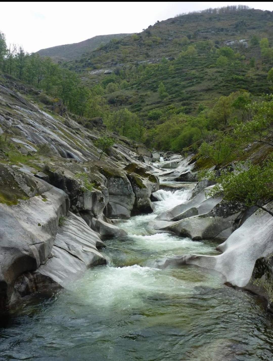 Photo 46