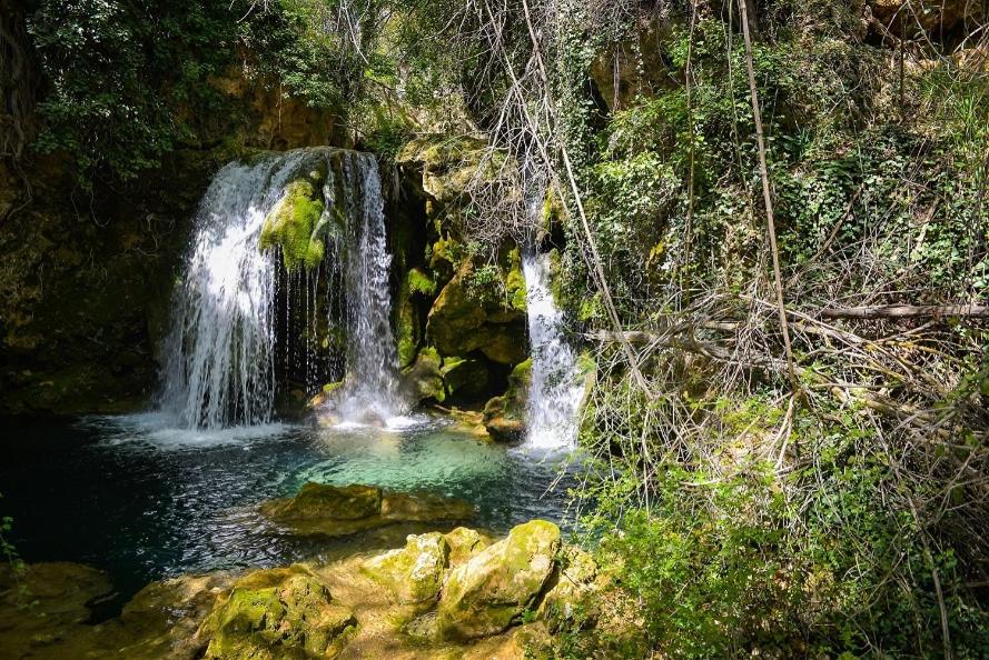 Cortijo "Fuentes del Guardal" view 5