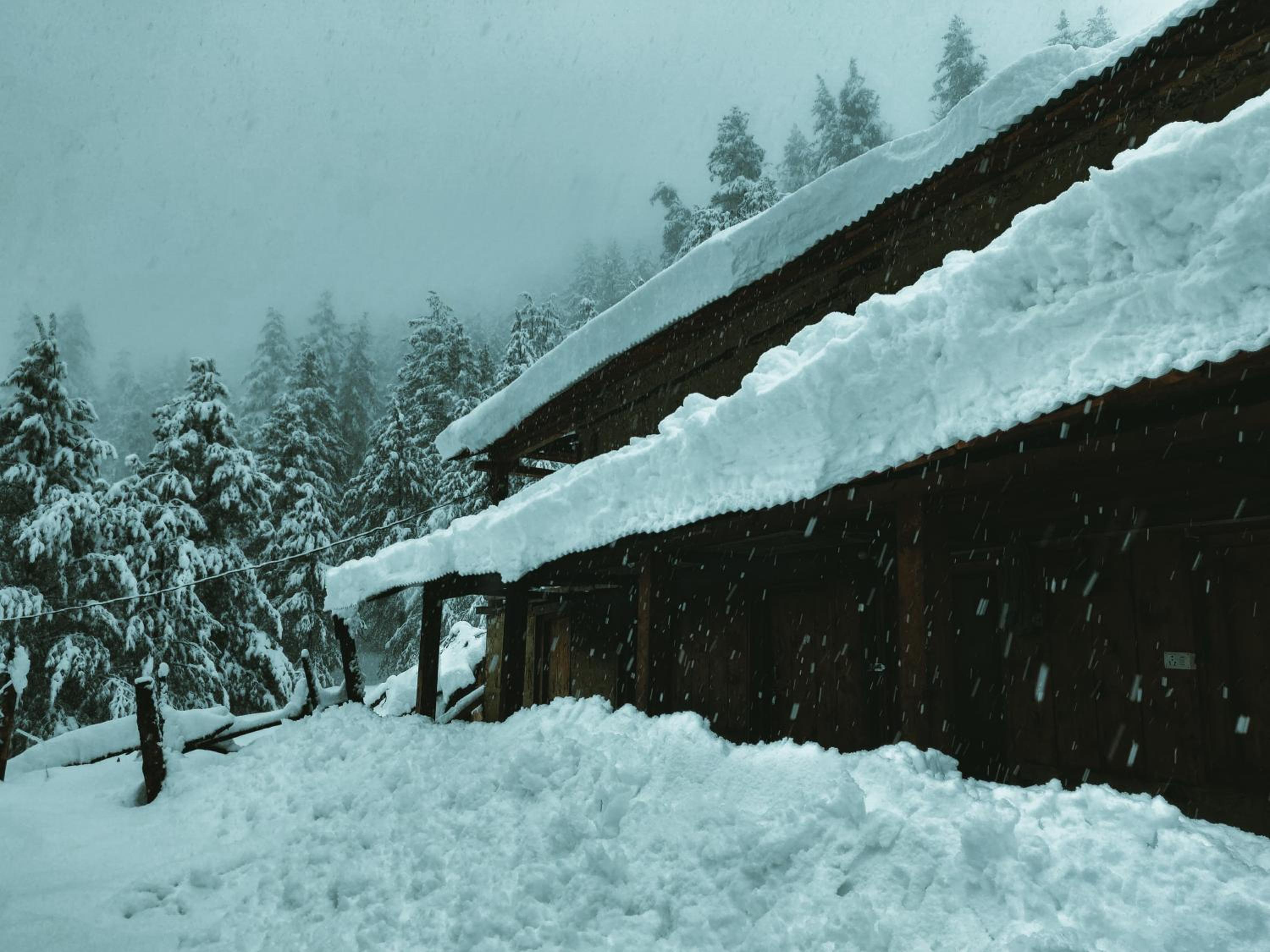 Shivay Homestay