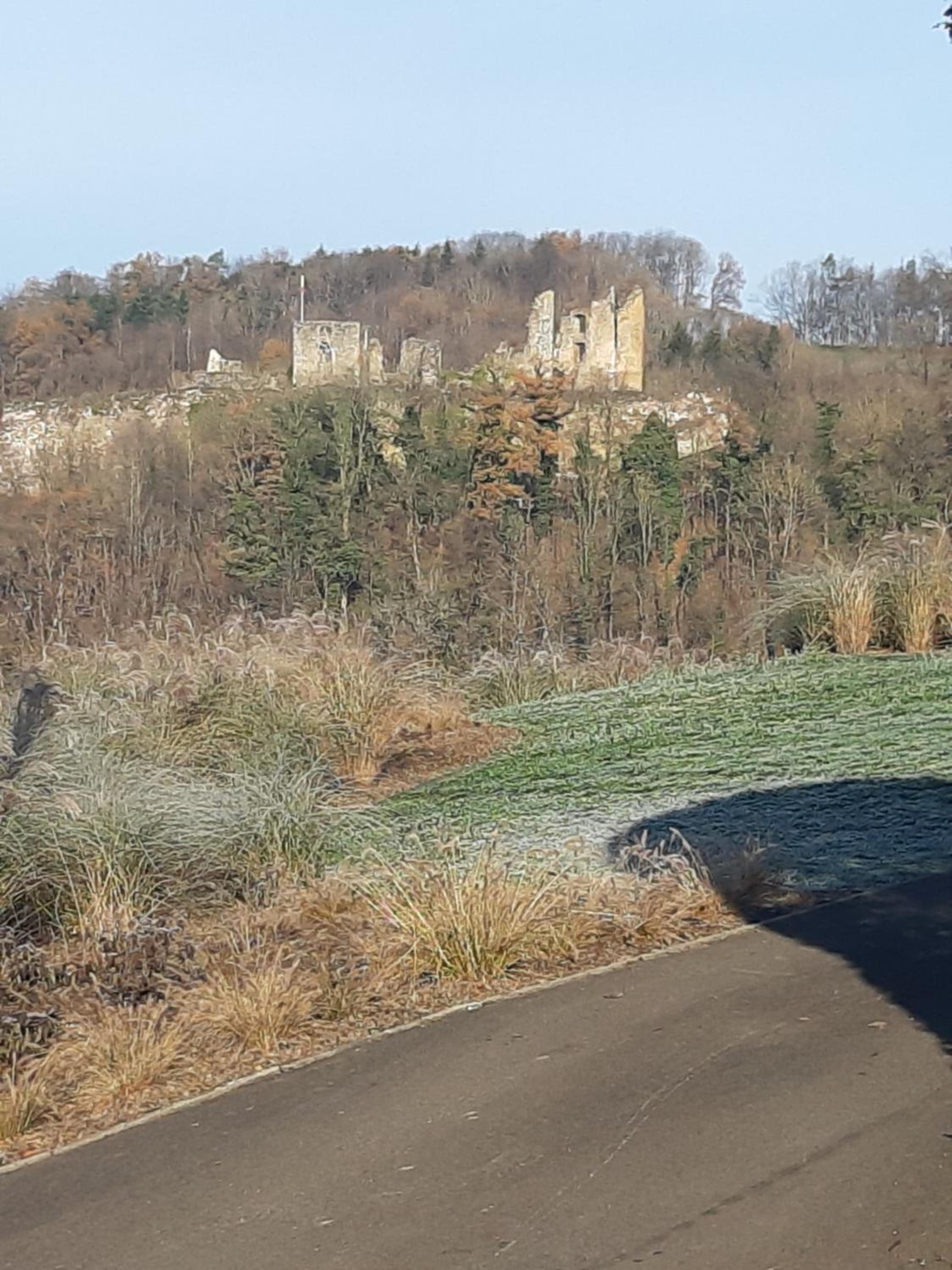 Le Nid Douillet view 4