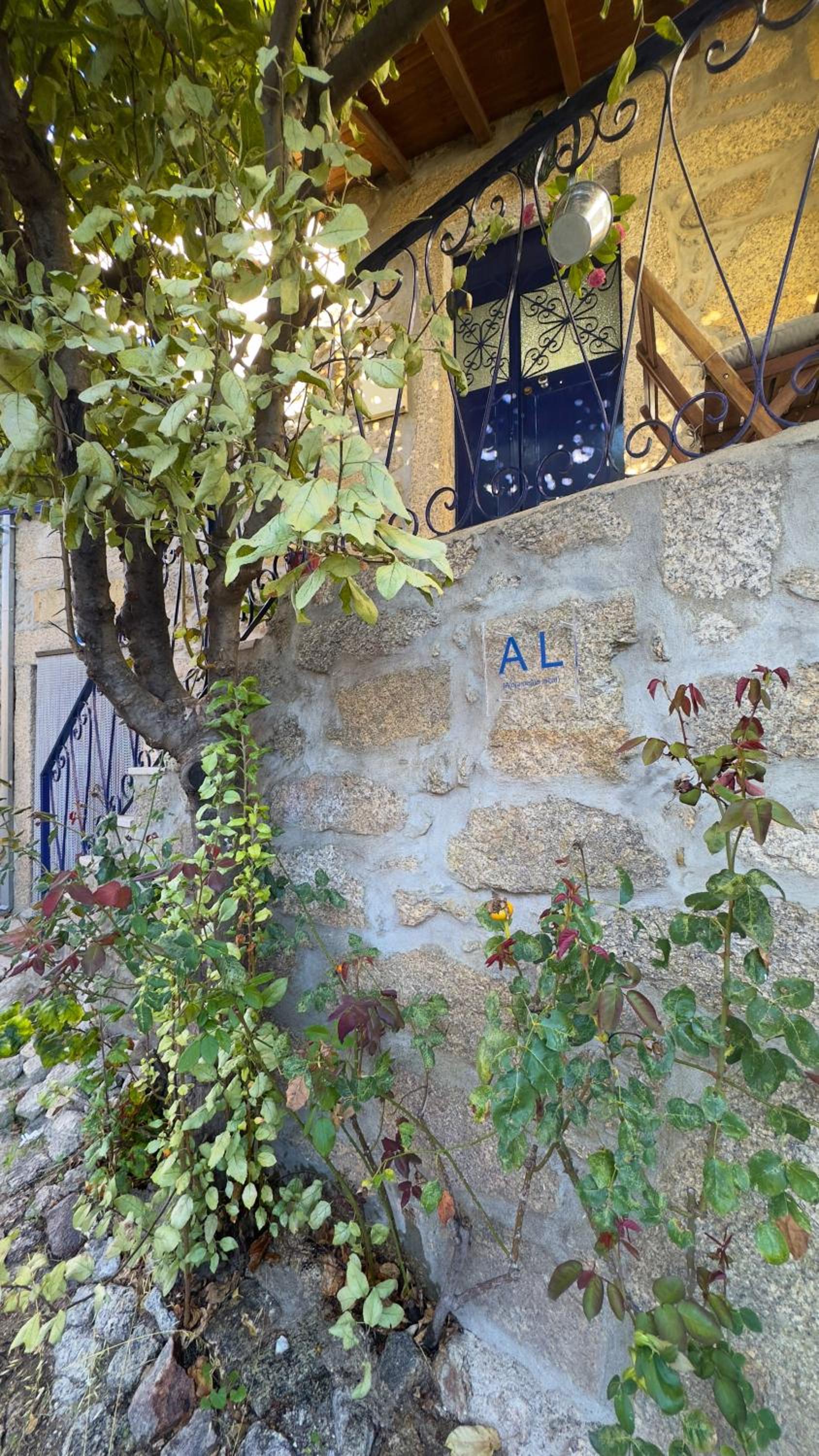 Photo 29