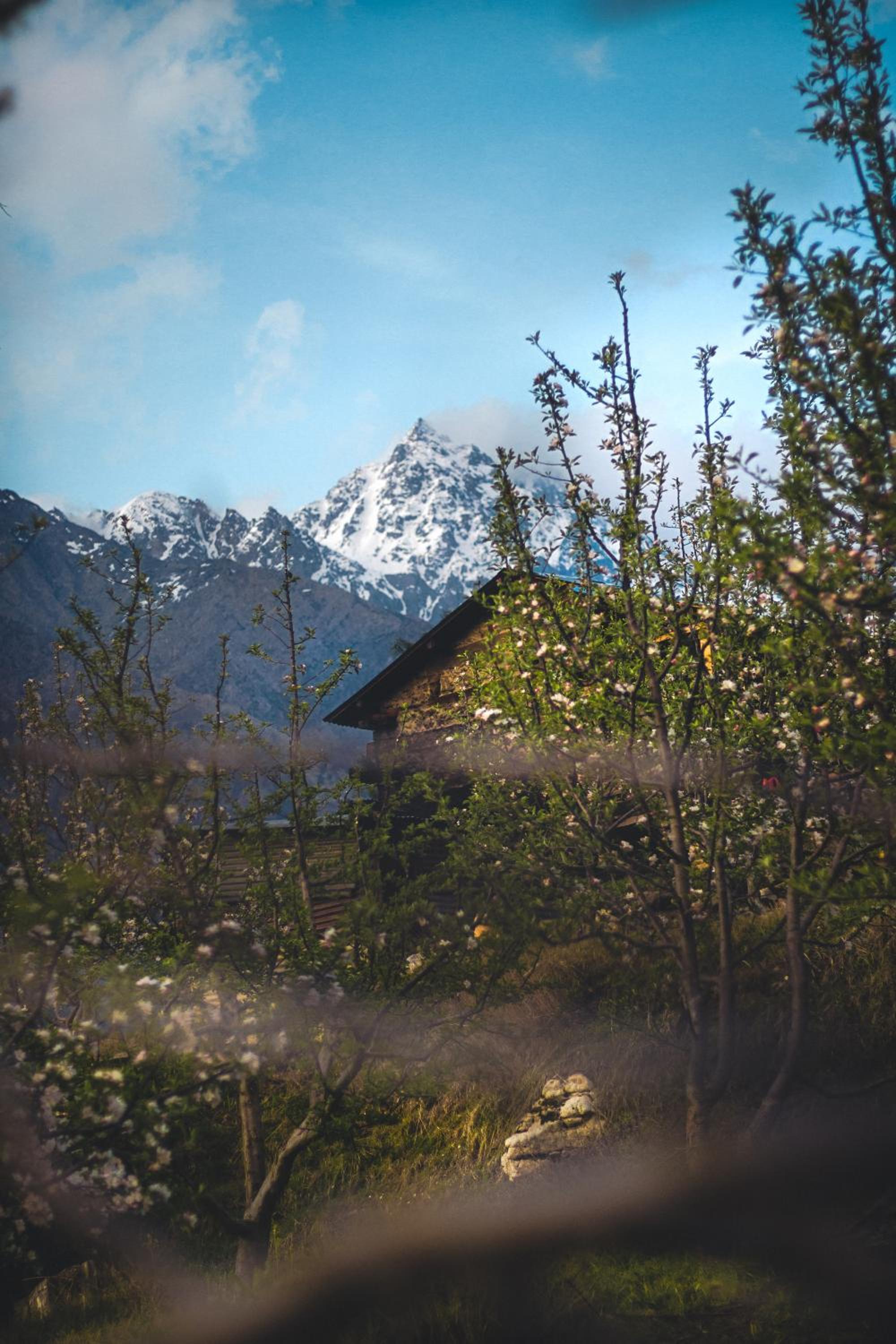 Shivay Homestay