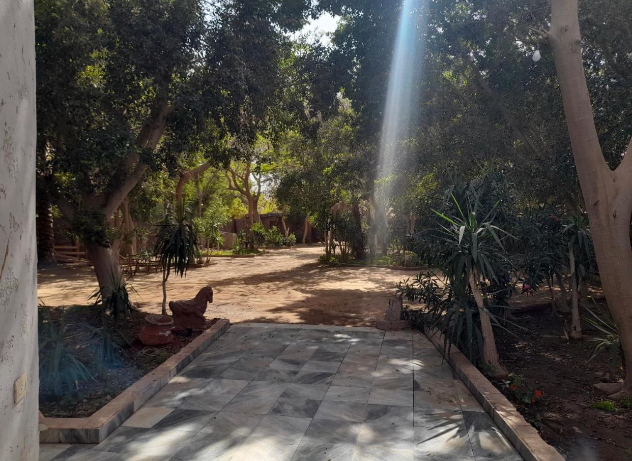 Villa by the Pyramids