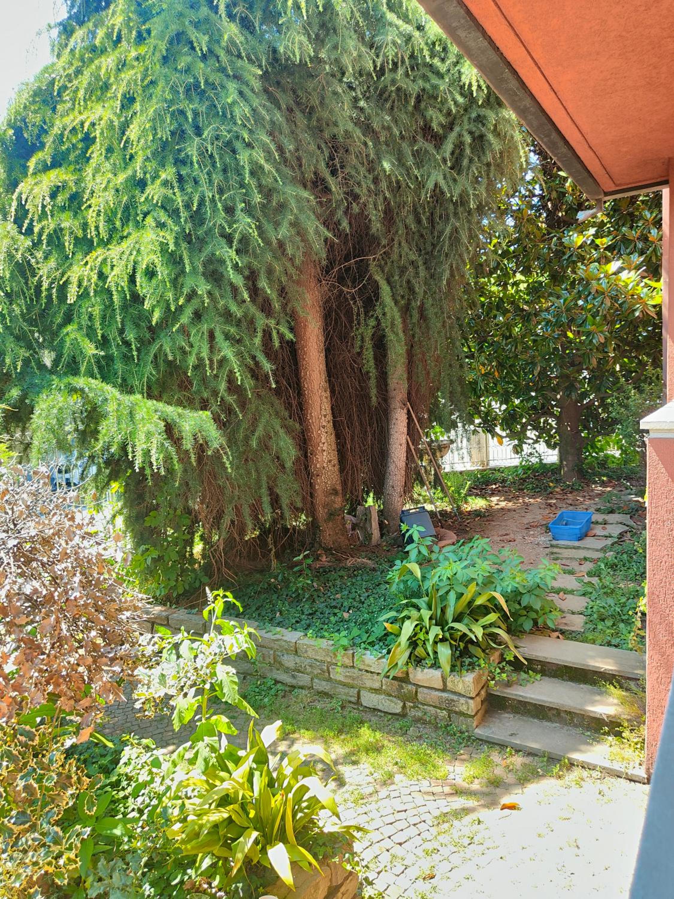 Villa Fiorella