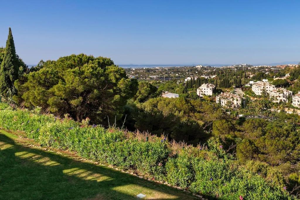 Stunning 3 bedroom Apt near golf and beach! RDR350 view 4