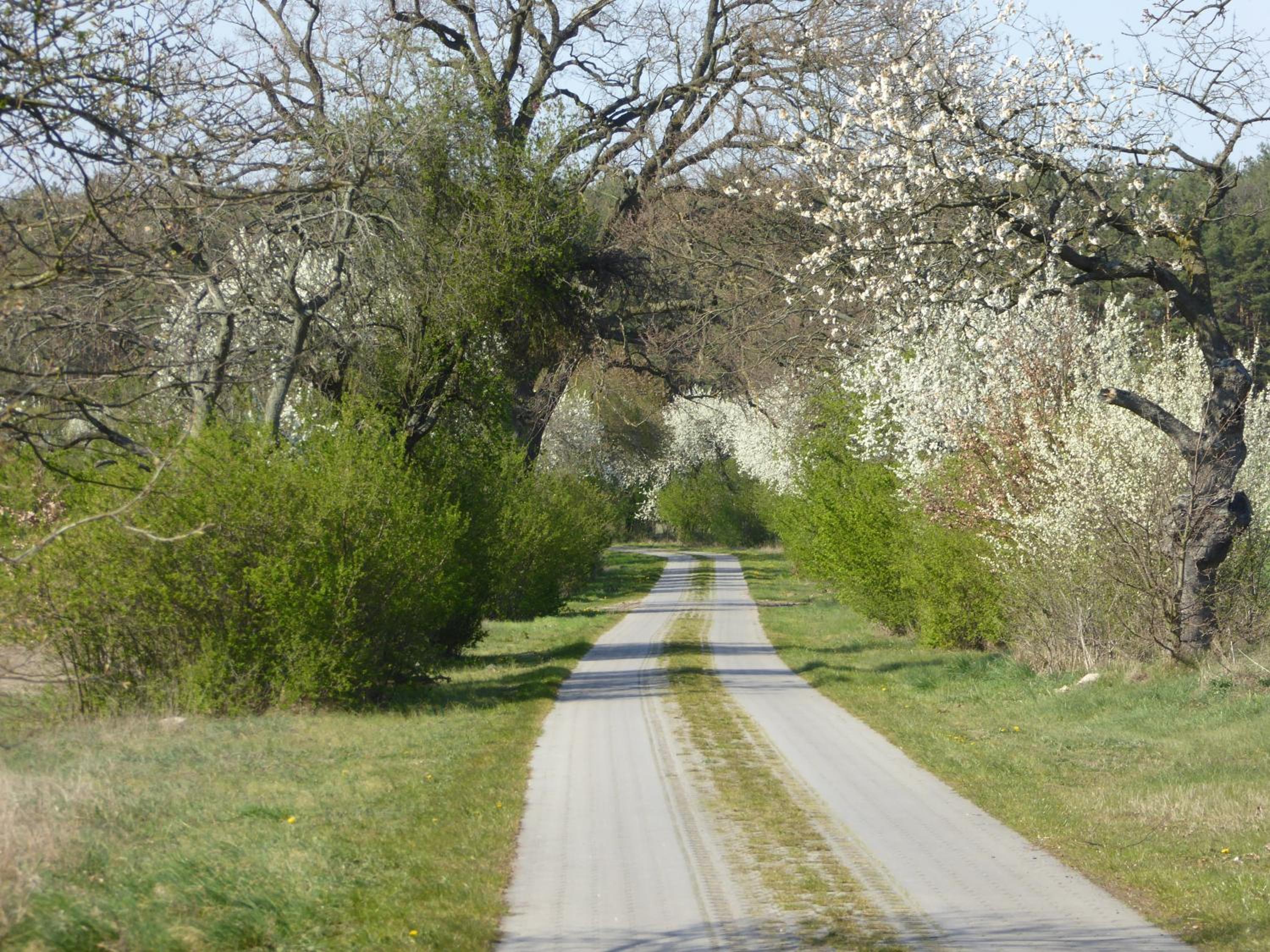 Schmidts Naturhof