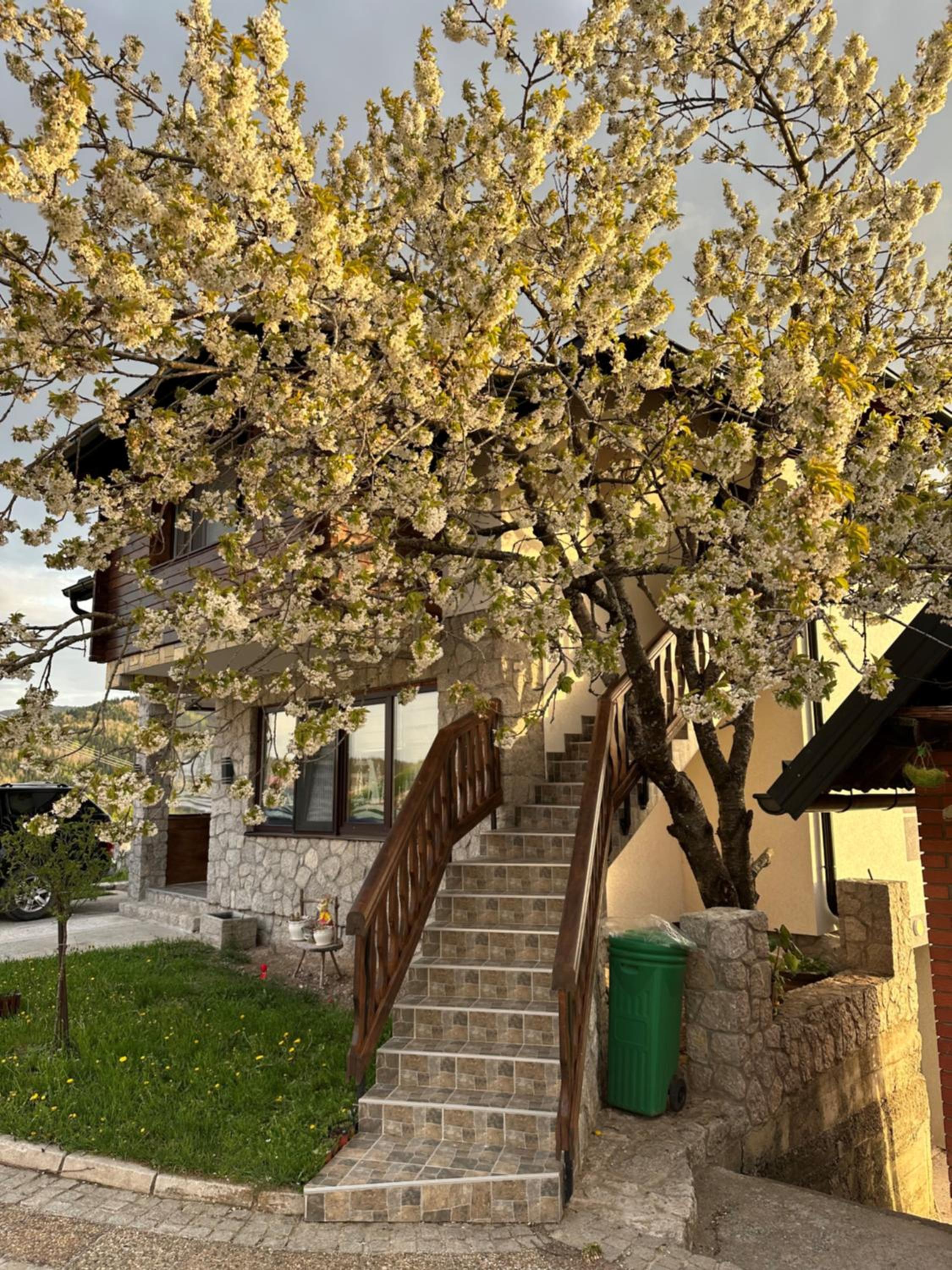 Photo 15
