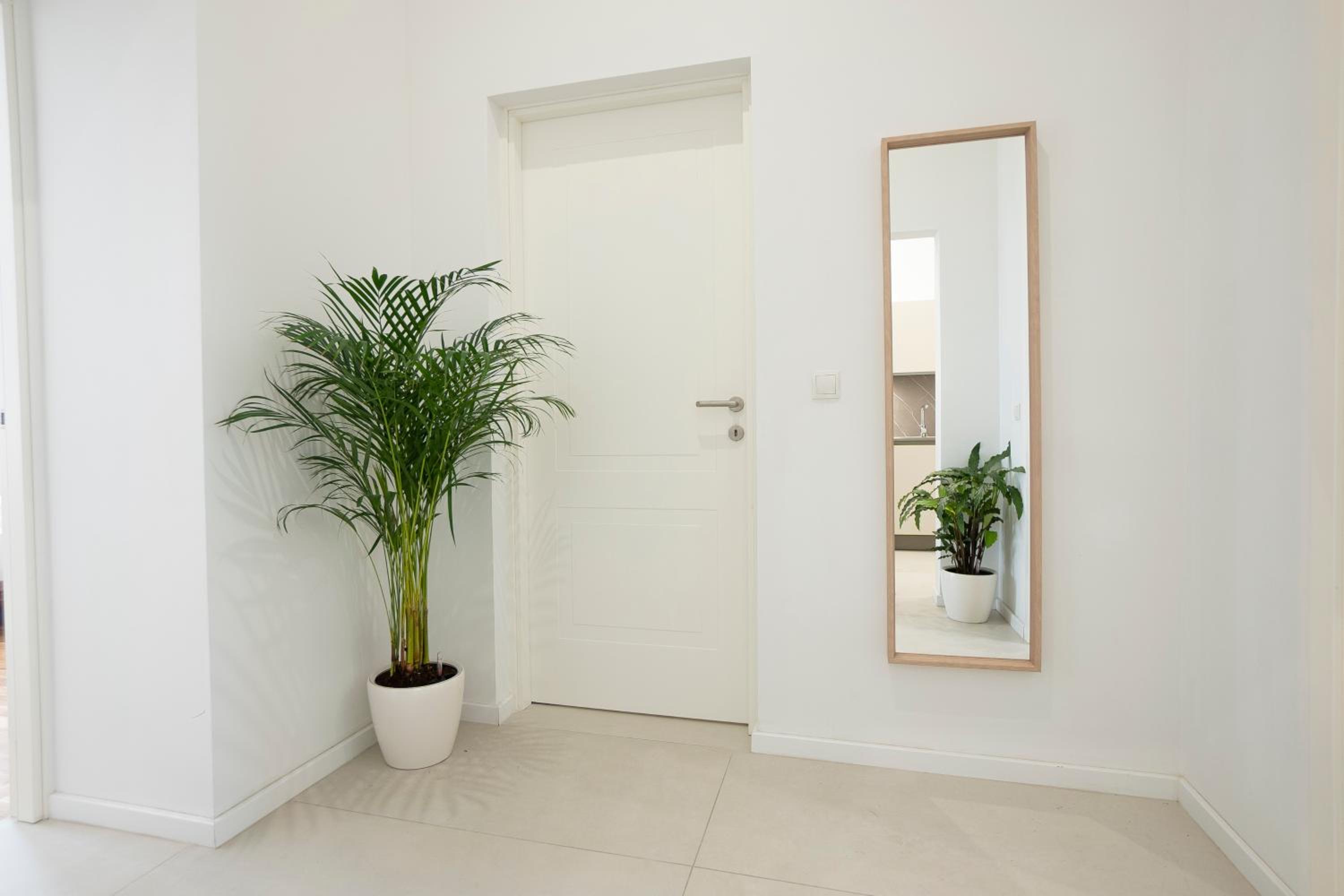 Fully equipped, renovated, perfectly located flat
