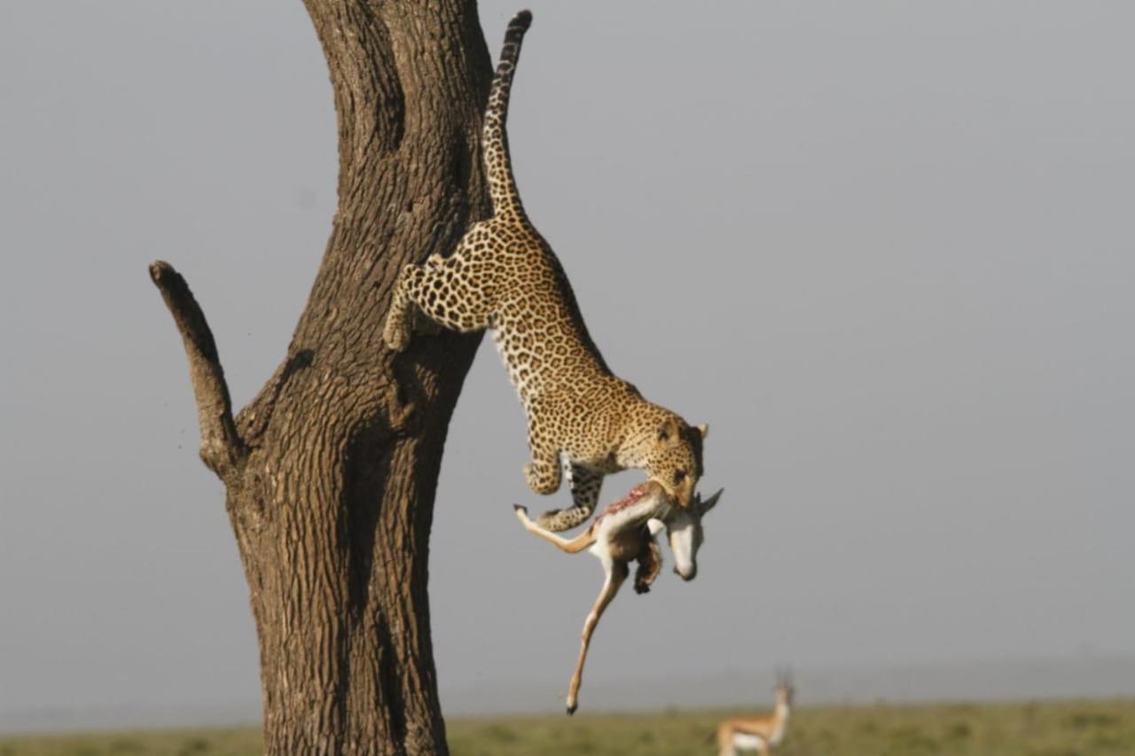 Photo 51