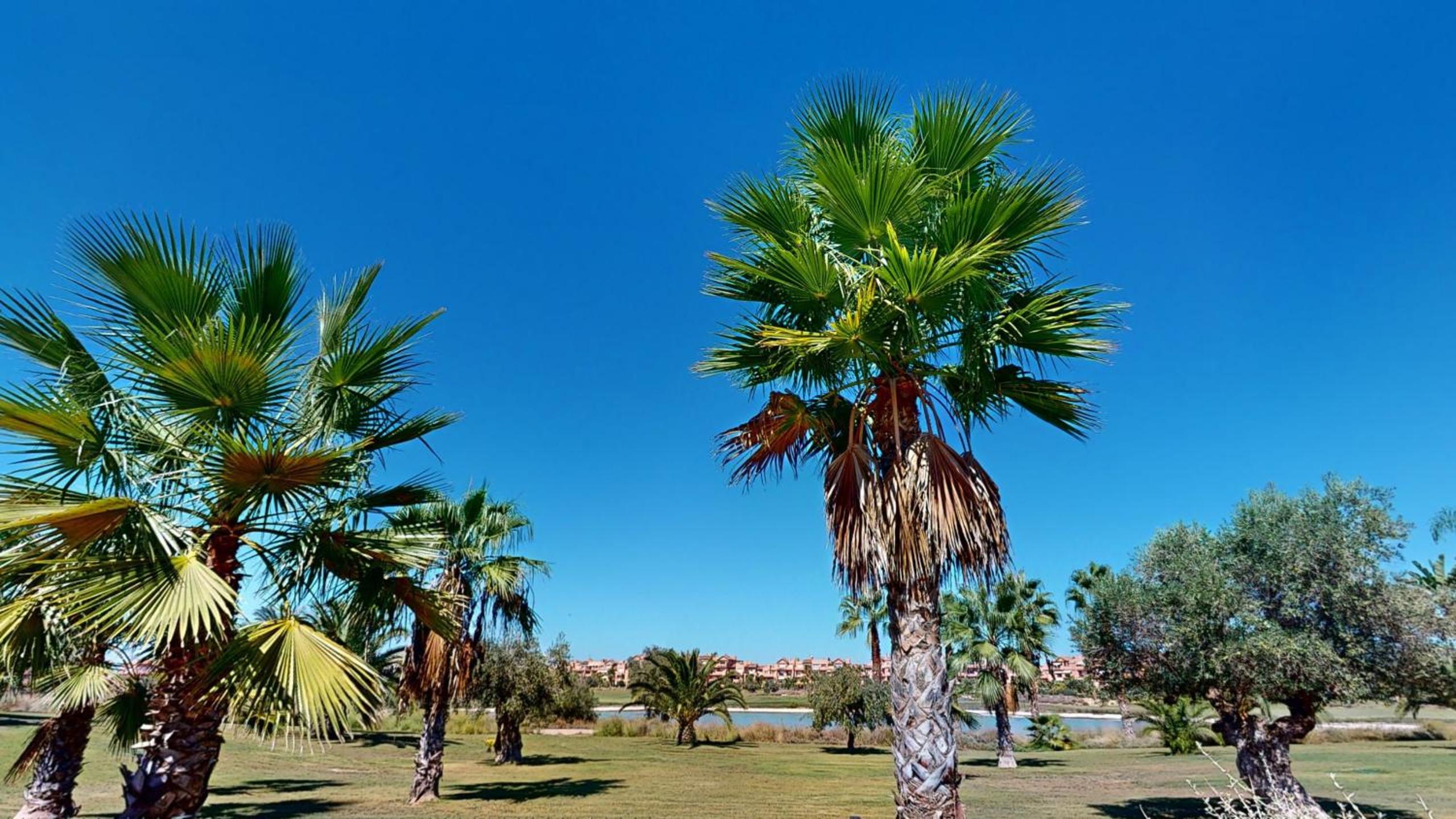 Casa Bonsai II - A Murcia Holiday Rentals Property view 5
