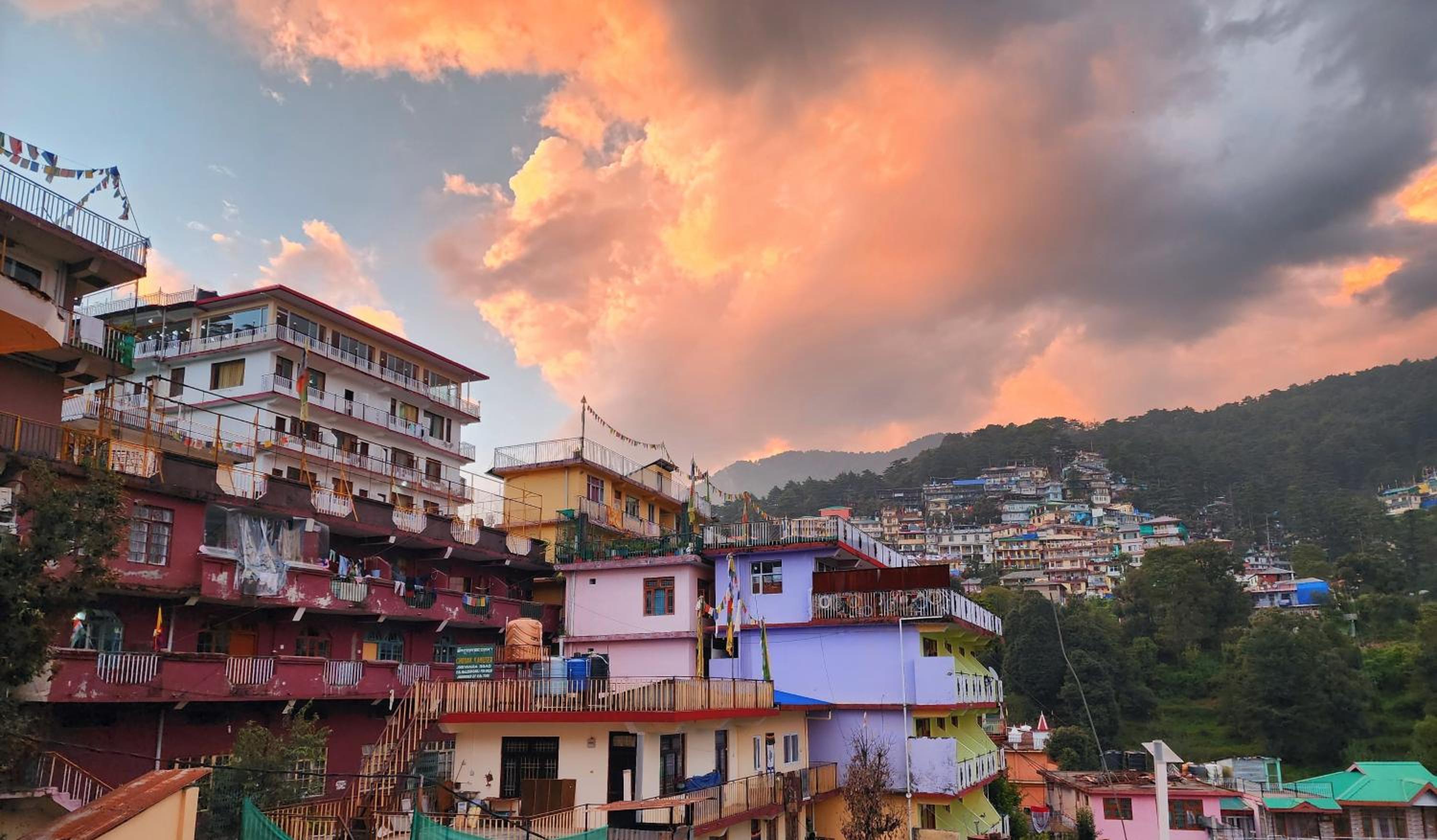 The Bougainvillea, Mcleodganj