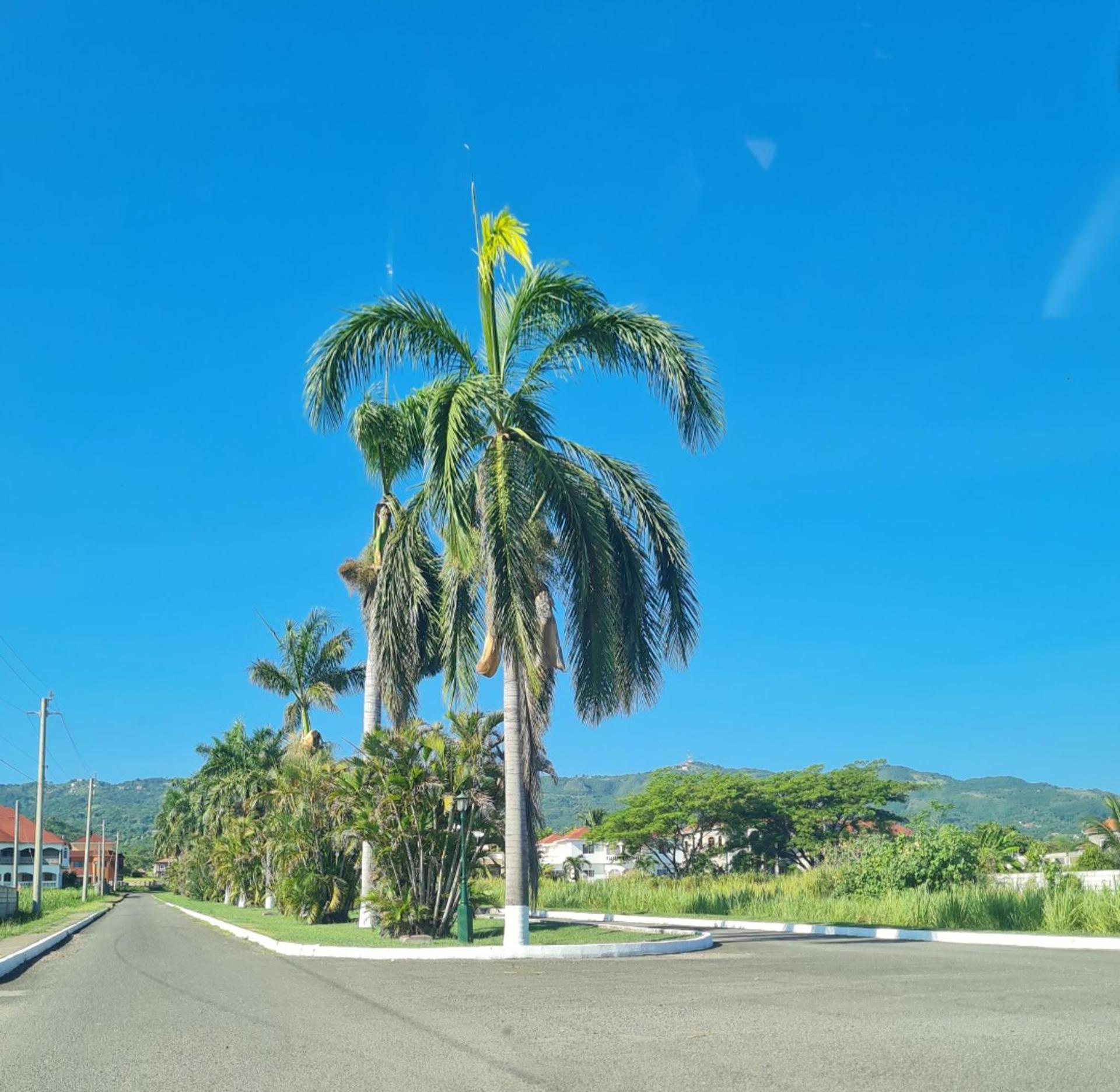 Modern 3 Bed Sea View Retreat St Ann's Ocho Rios