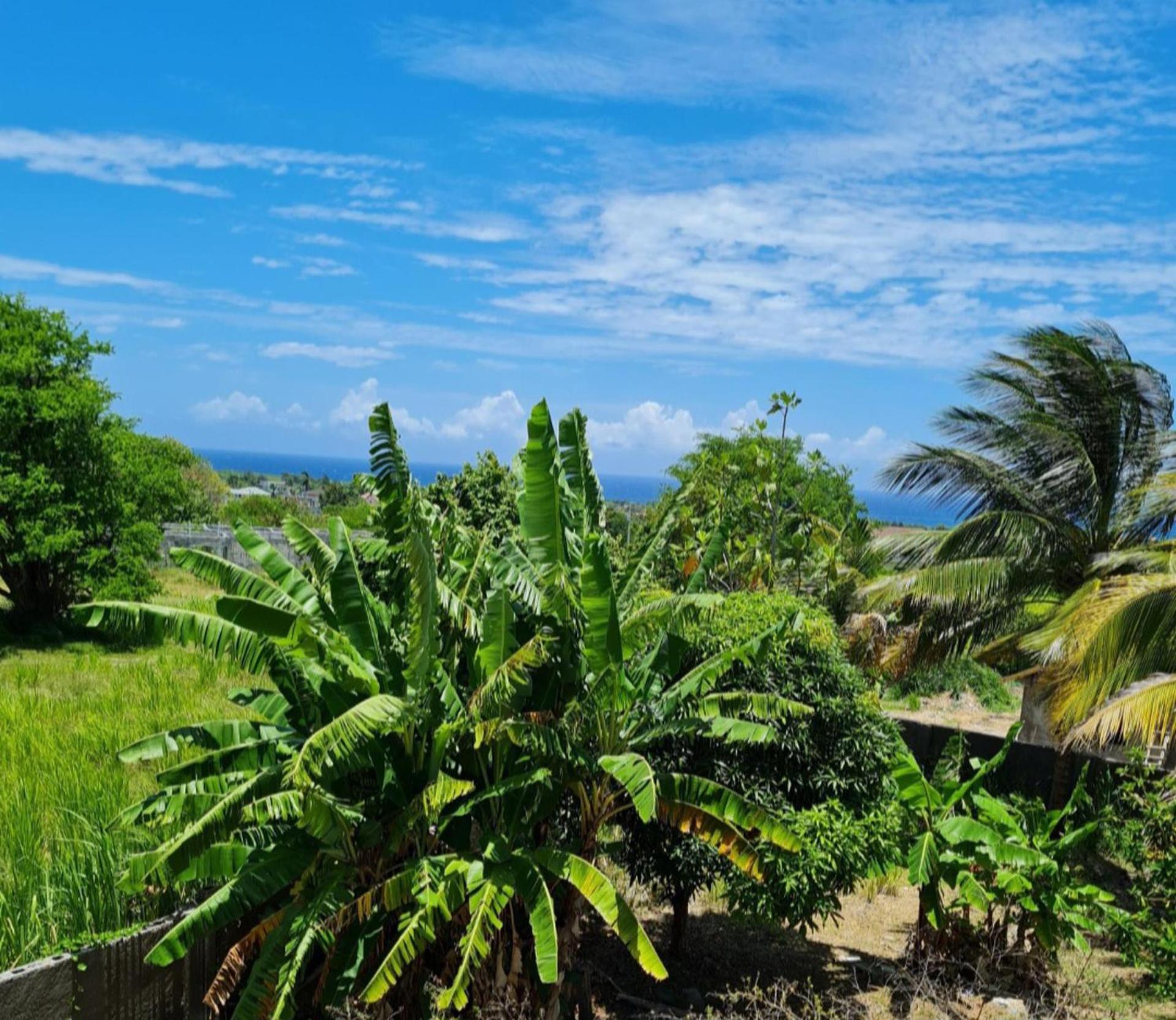 Modern 3 Bed Sea View Retreat St Ann's Ocho Rios