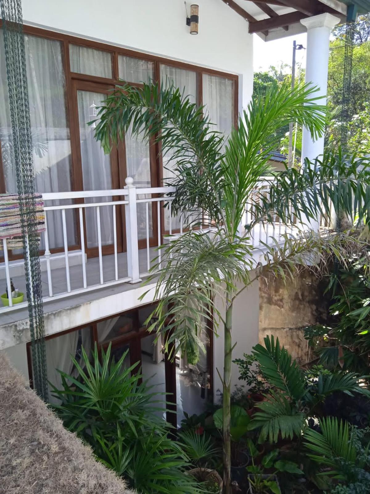 Orchid Villa in Kandy view 3