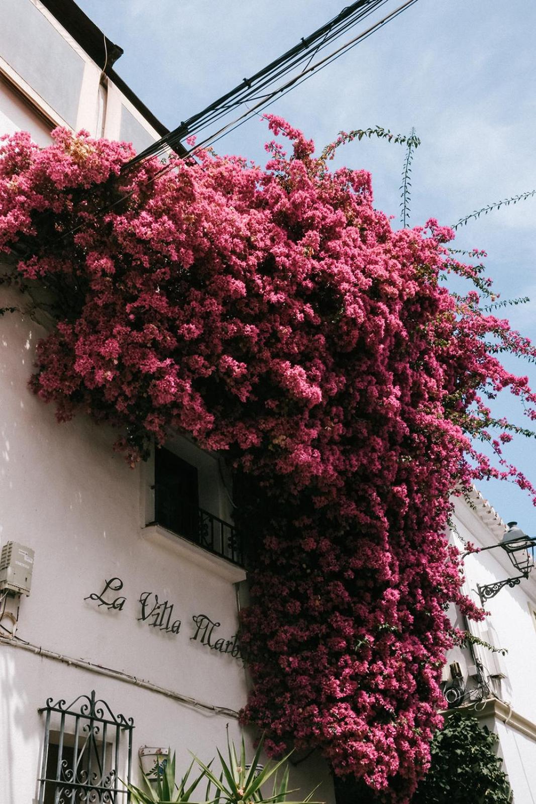 Casa Jilou