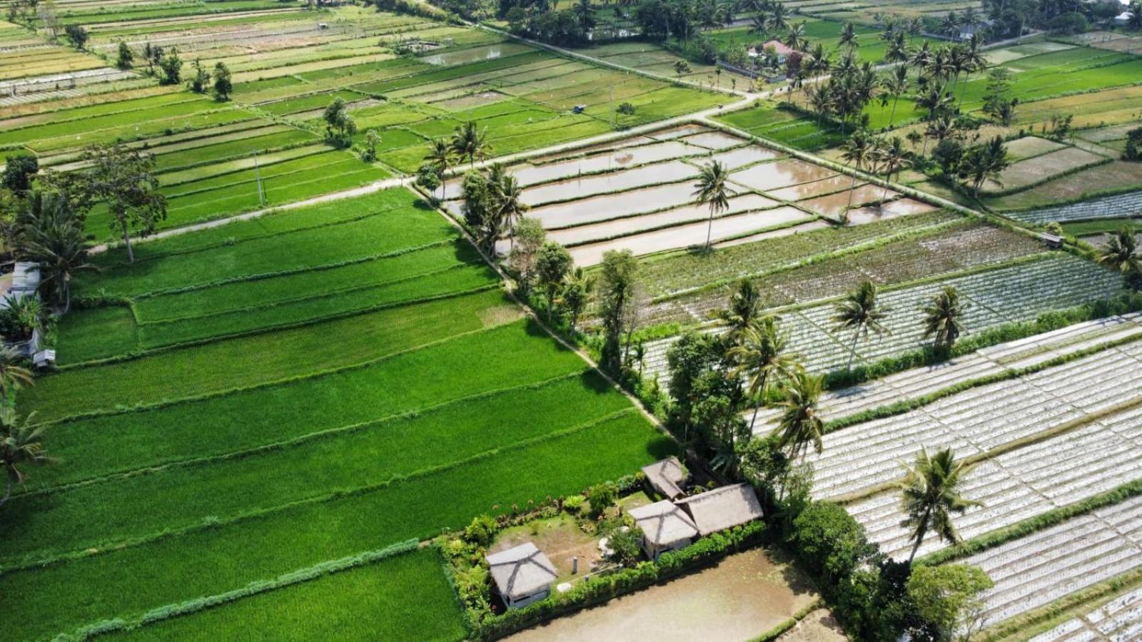 New Rinjani Homestay