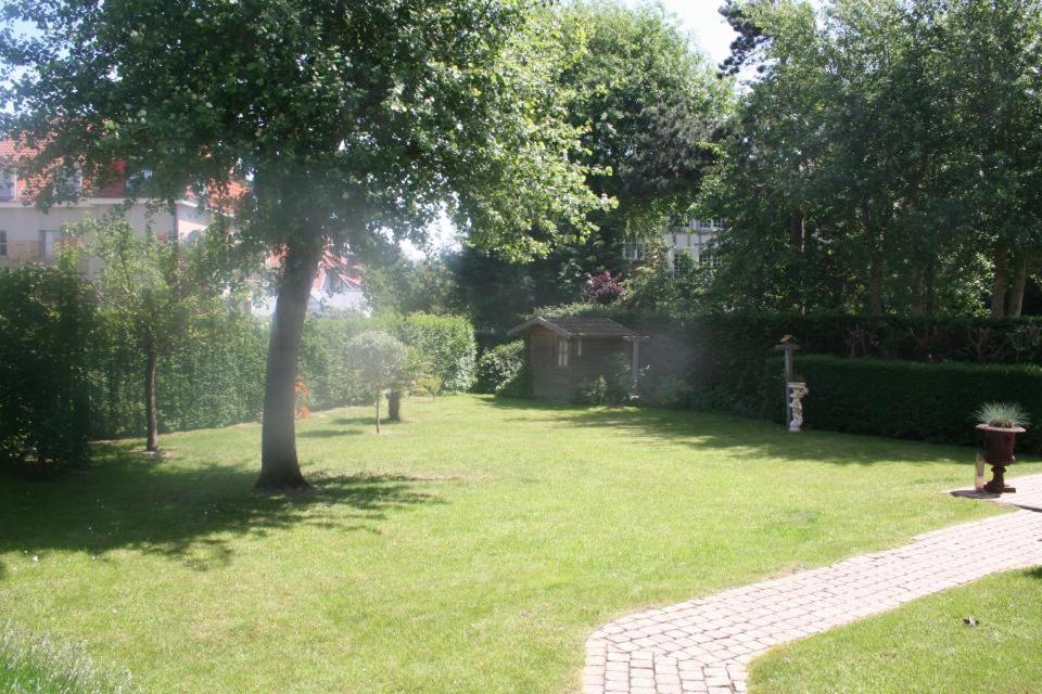 Monina