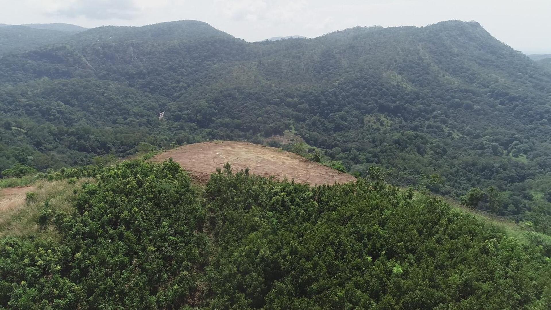 Photo 59