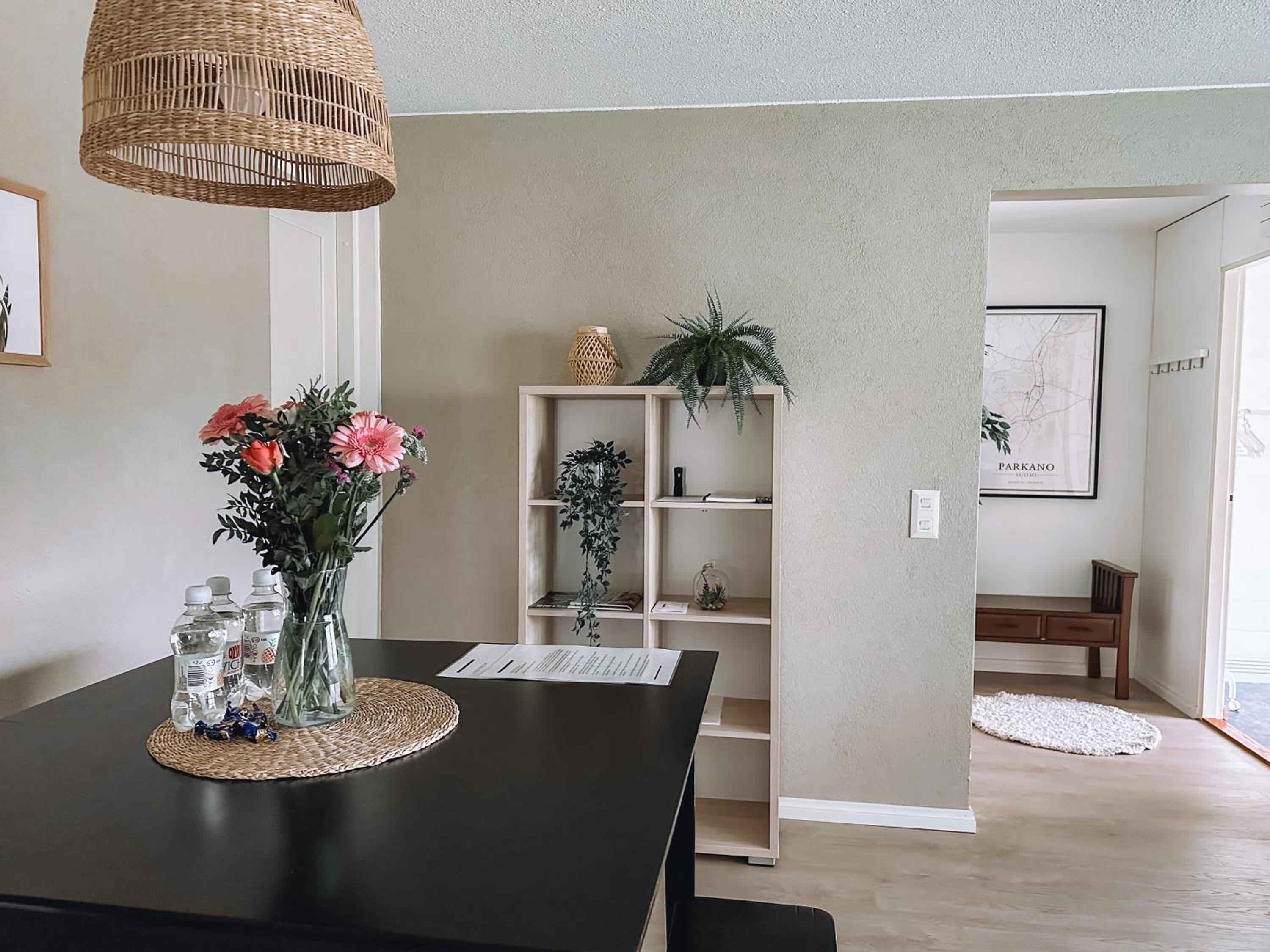 Sapelin airbnb, Parkano