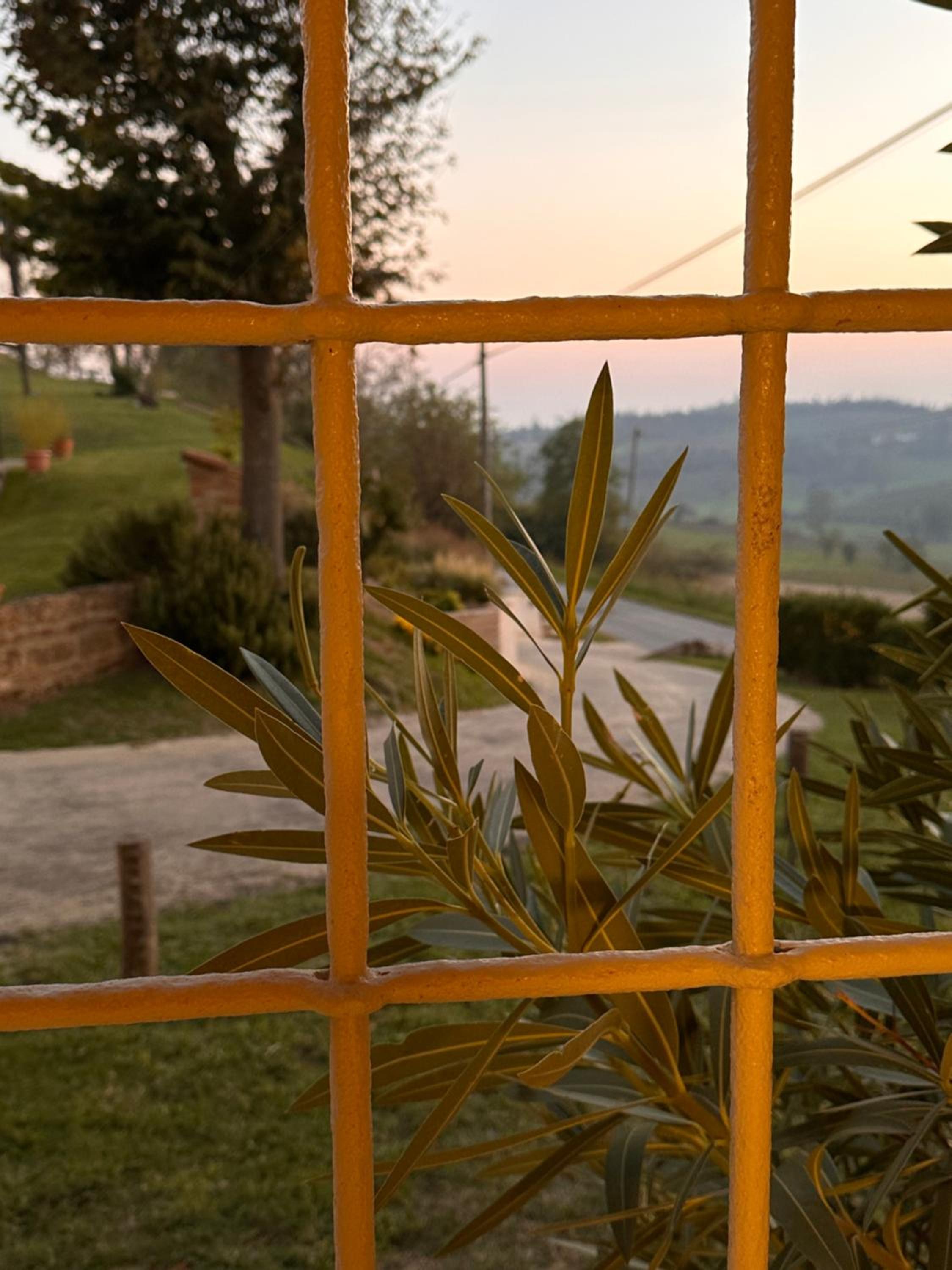 Cortile Costanzana