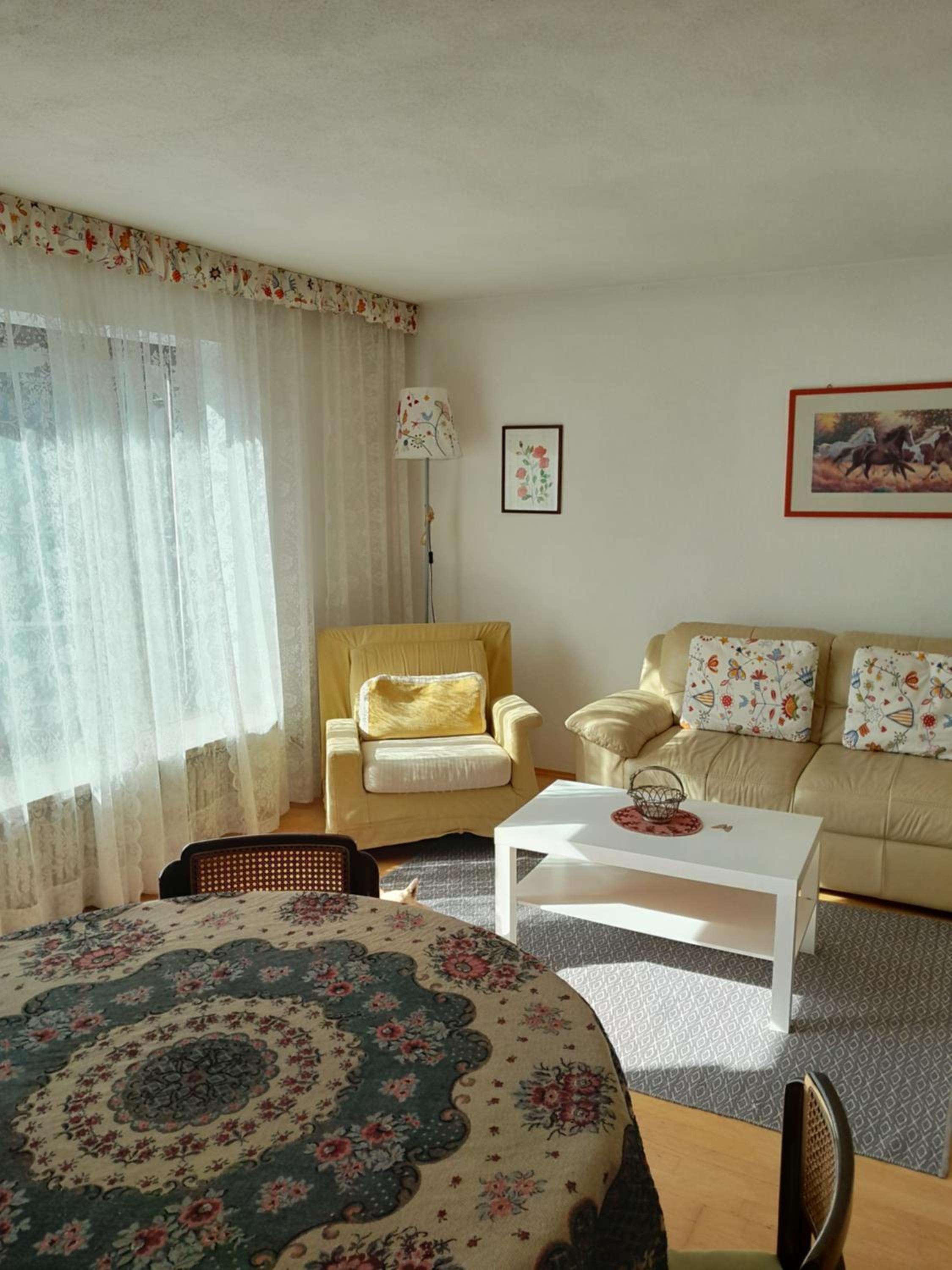 Apartmenthaus Panorama