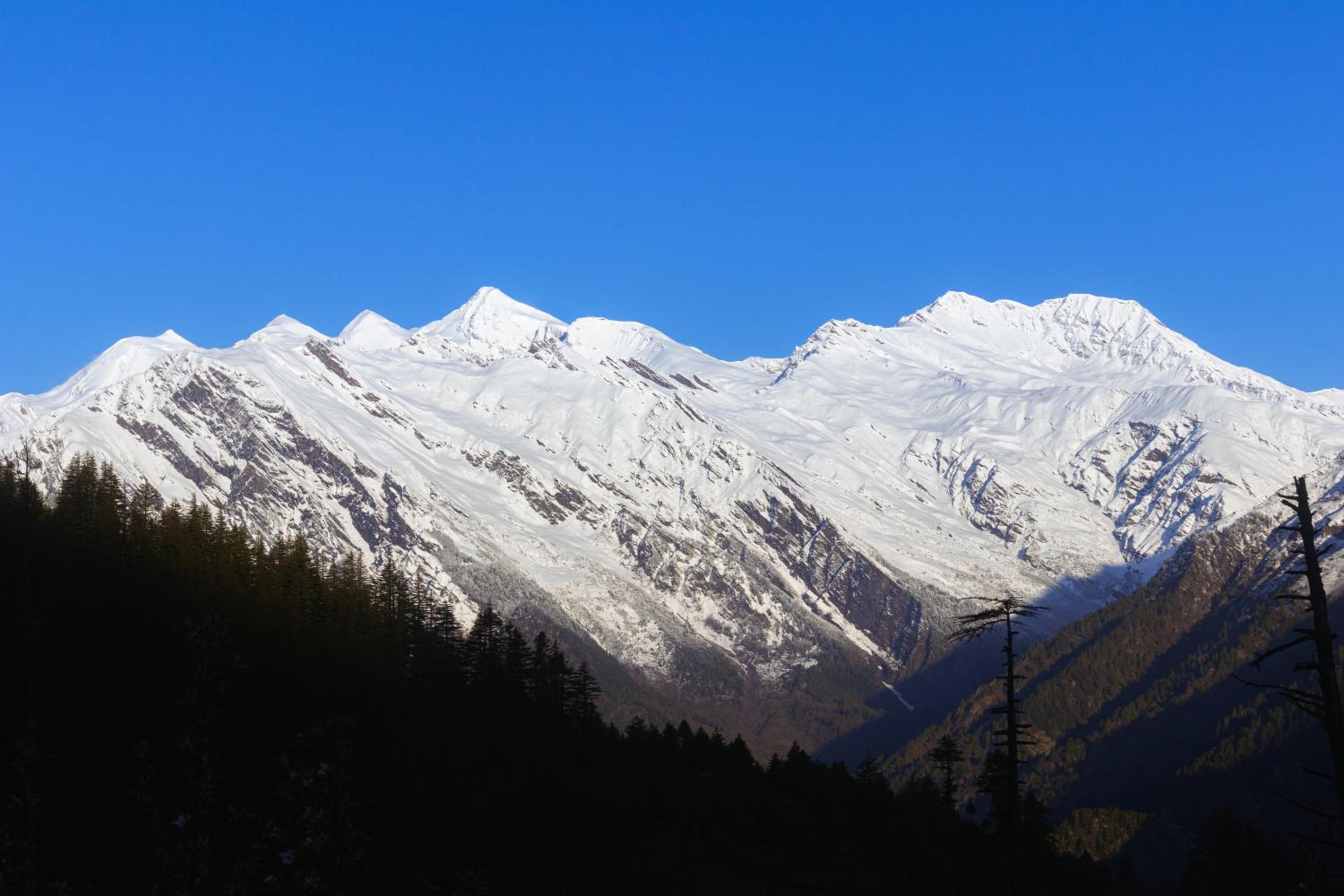 Shivay Homestay