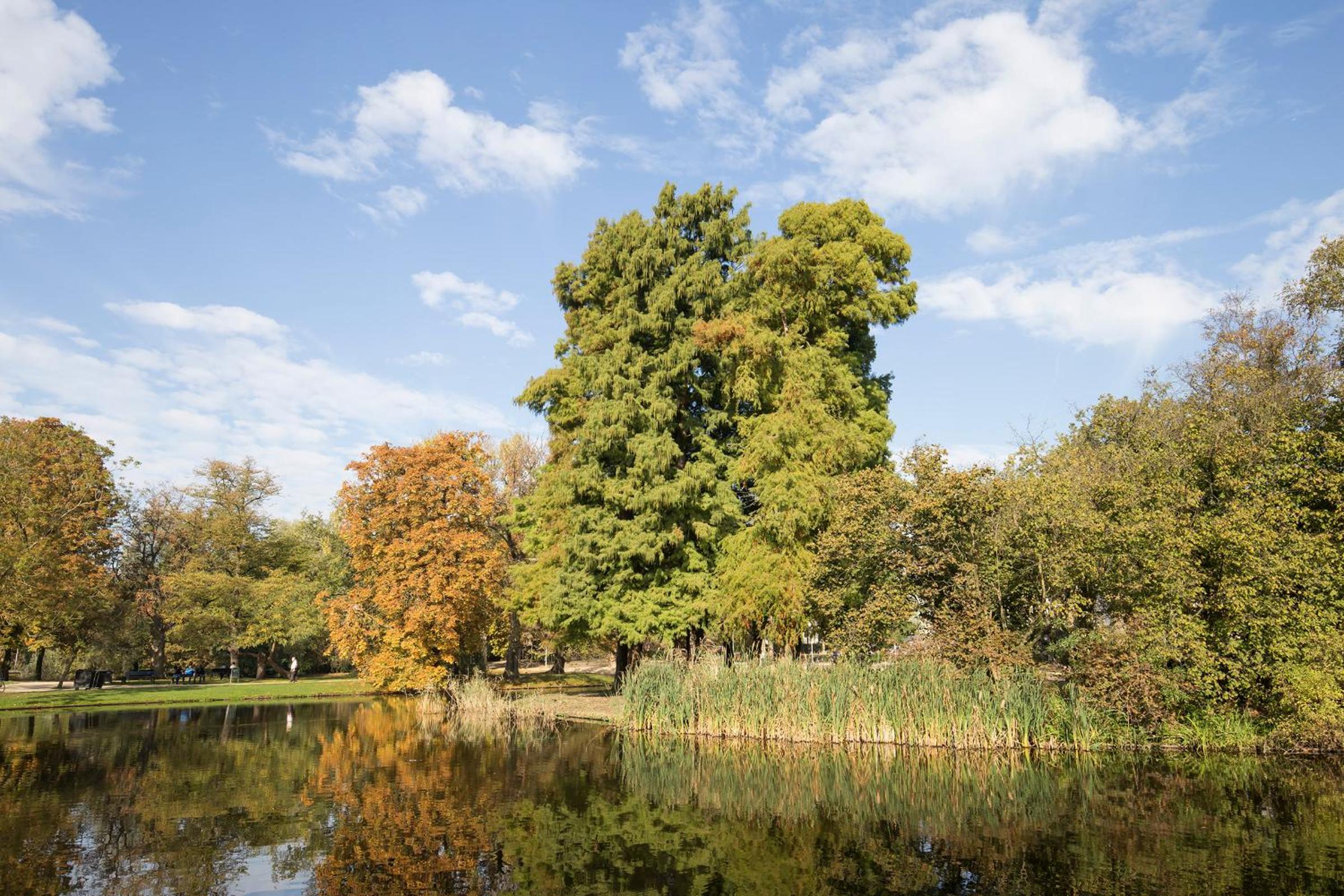 Waldeck Vondelpark 2 bedroom Suites