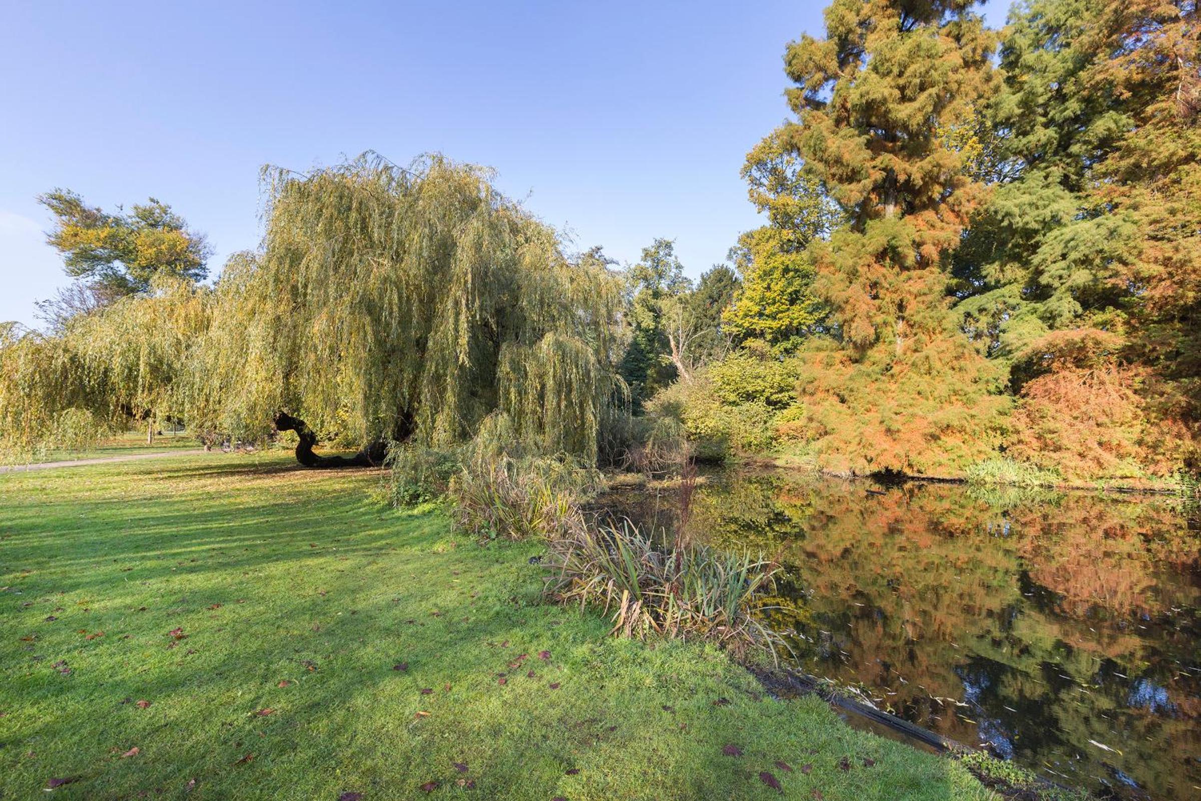 Waldeck Vondelpark 2 bedroom Suites