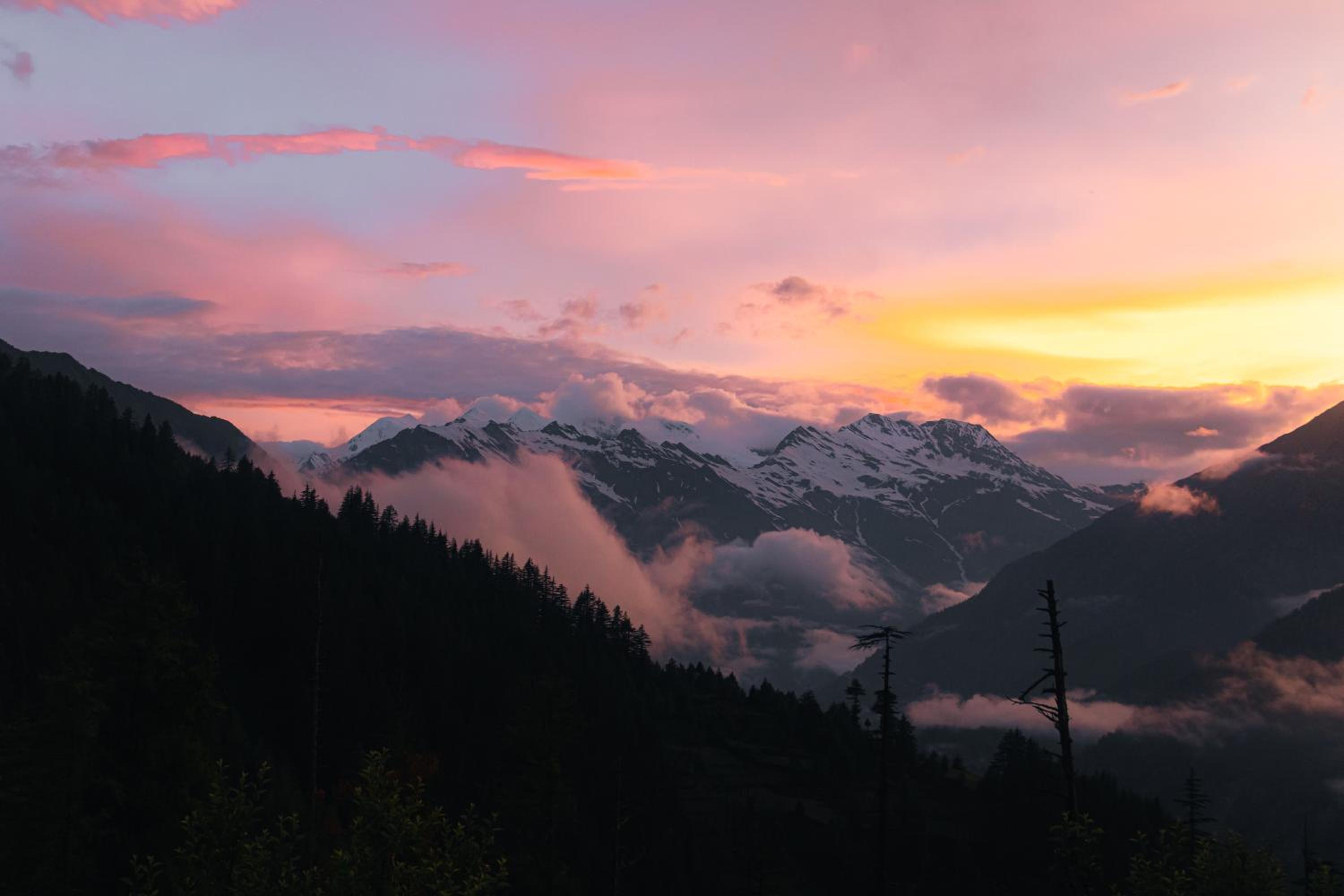 Shivay Homestay