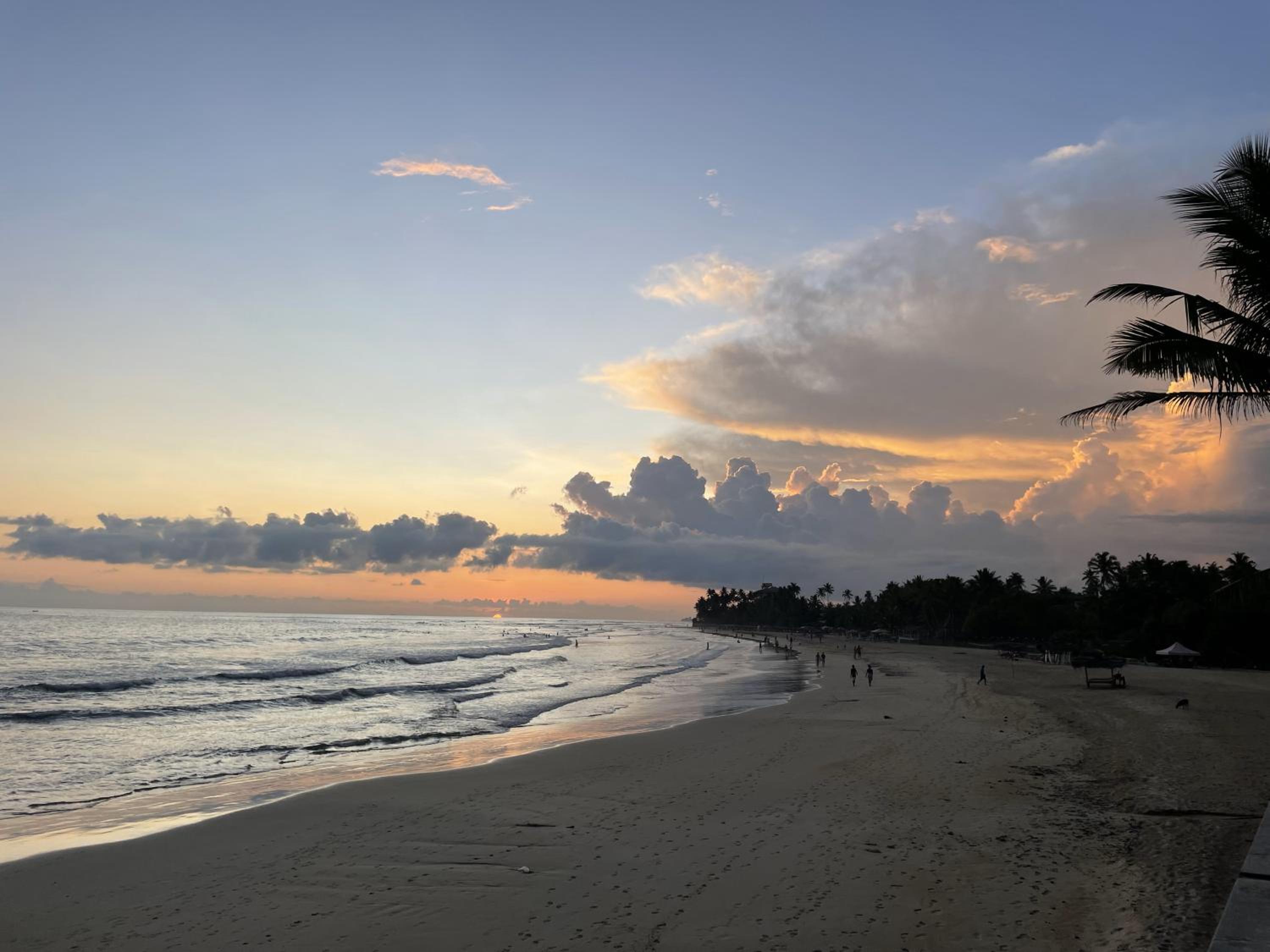 Licuala Luxury Jungle Bungalows