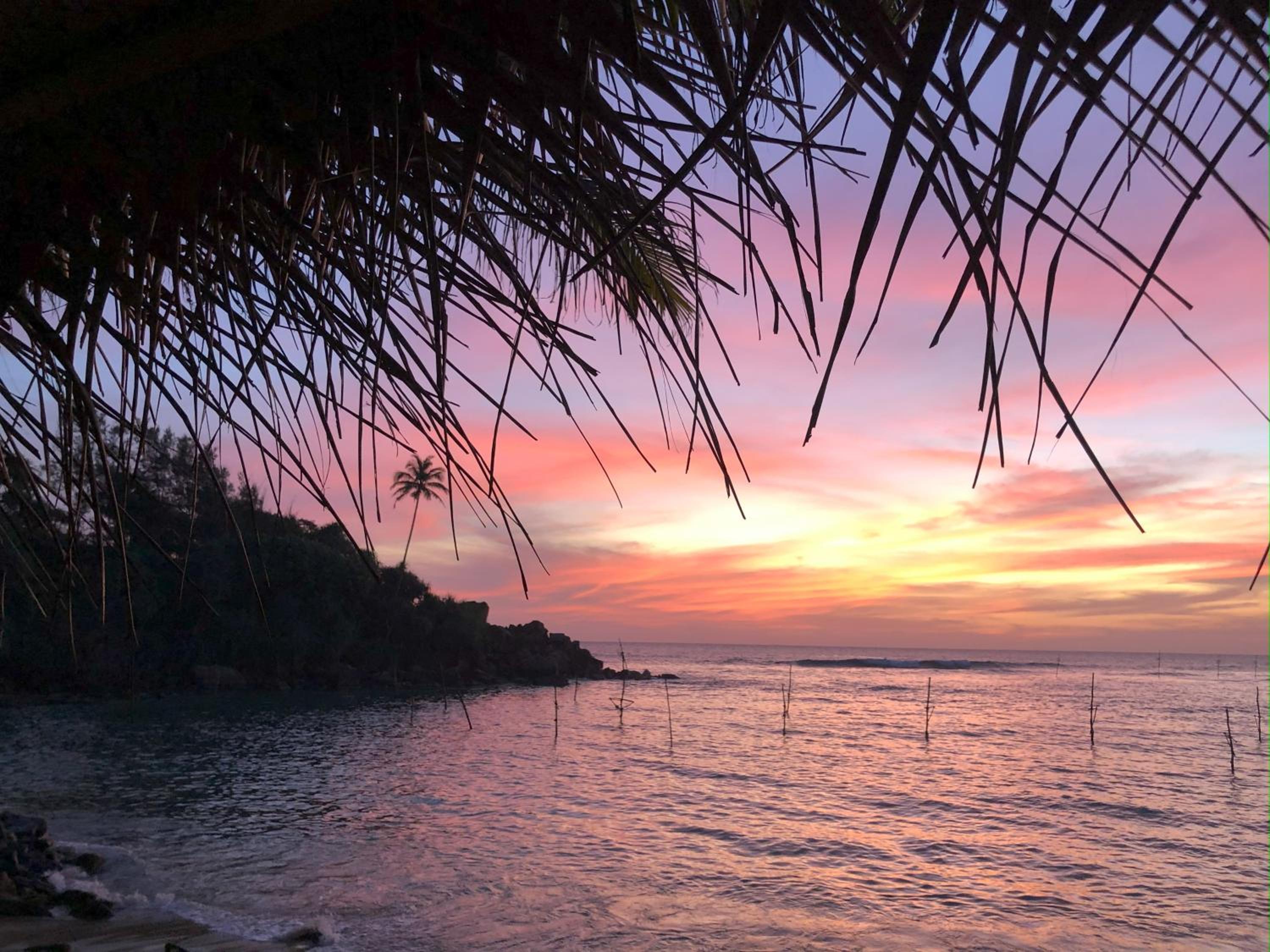 Licuala Luxury Jungle Bungalows
