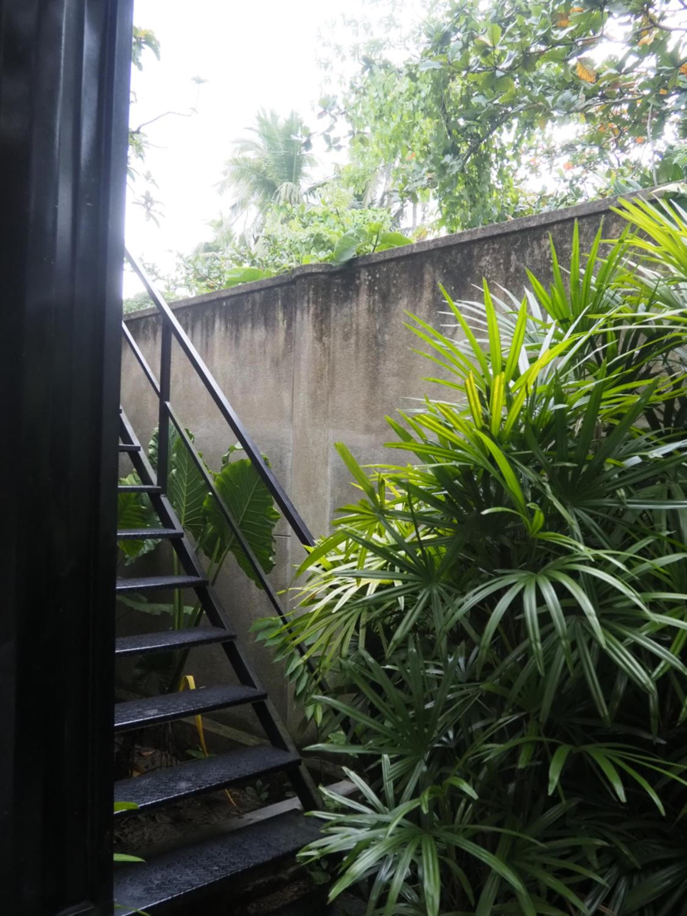 Licuala Luxury Jungle Bungalows