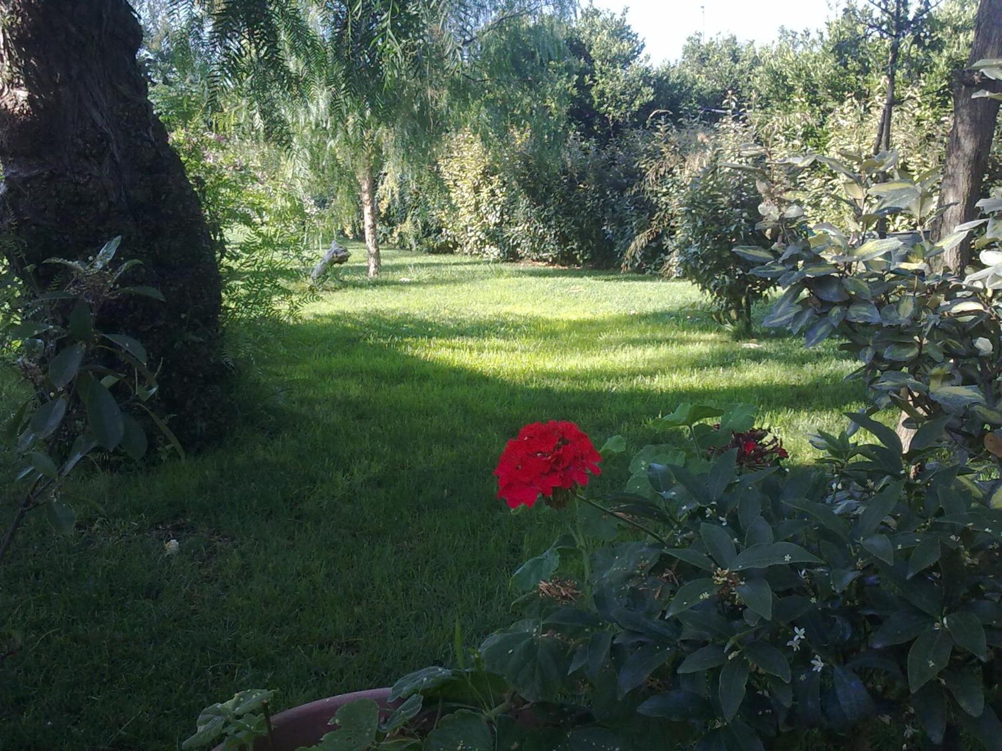 Photo 42