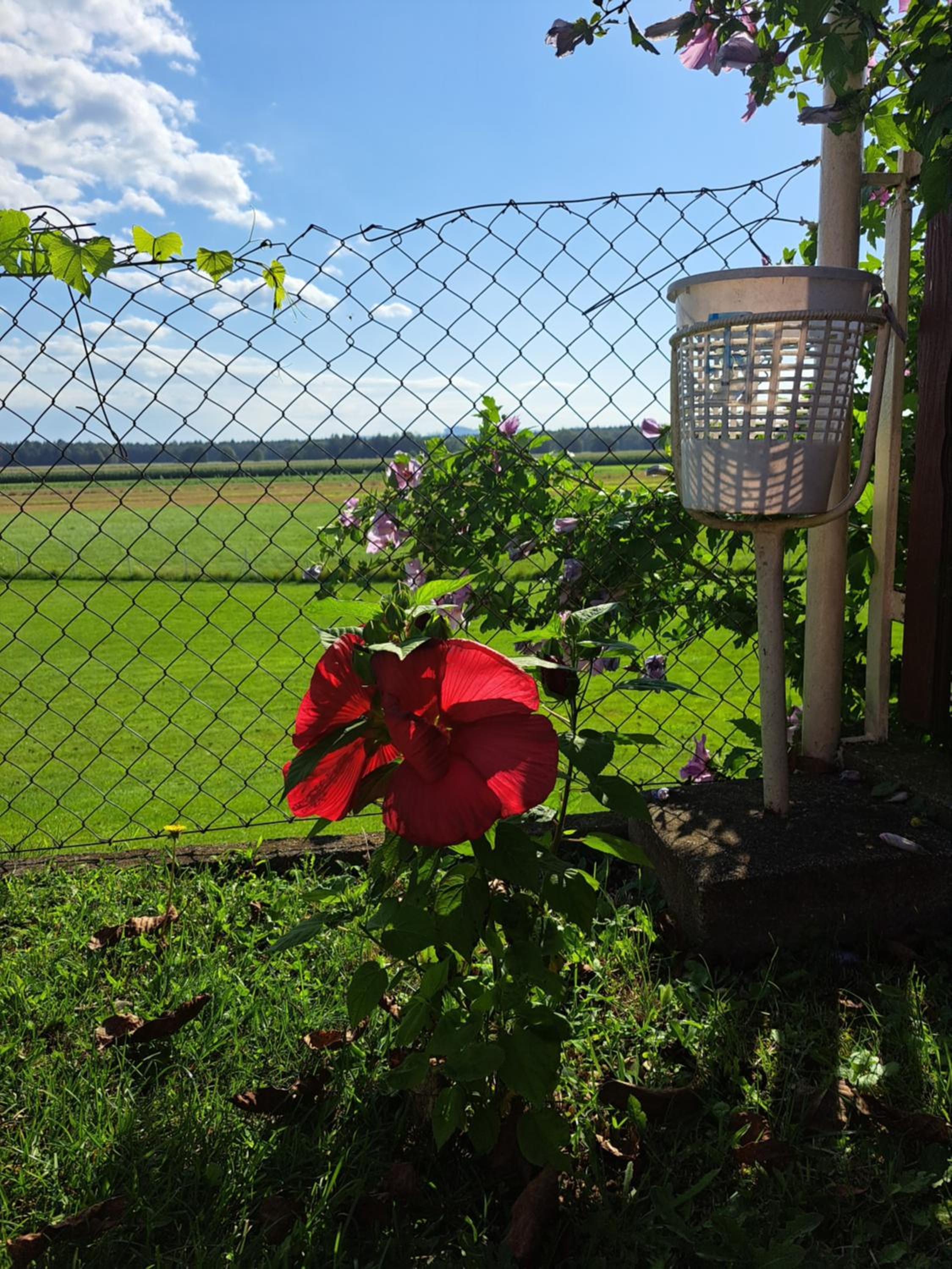 Photo 43