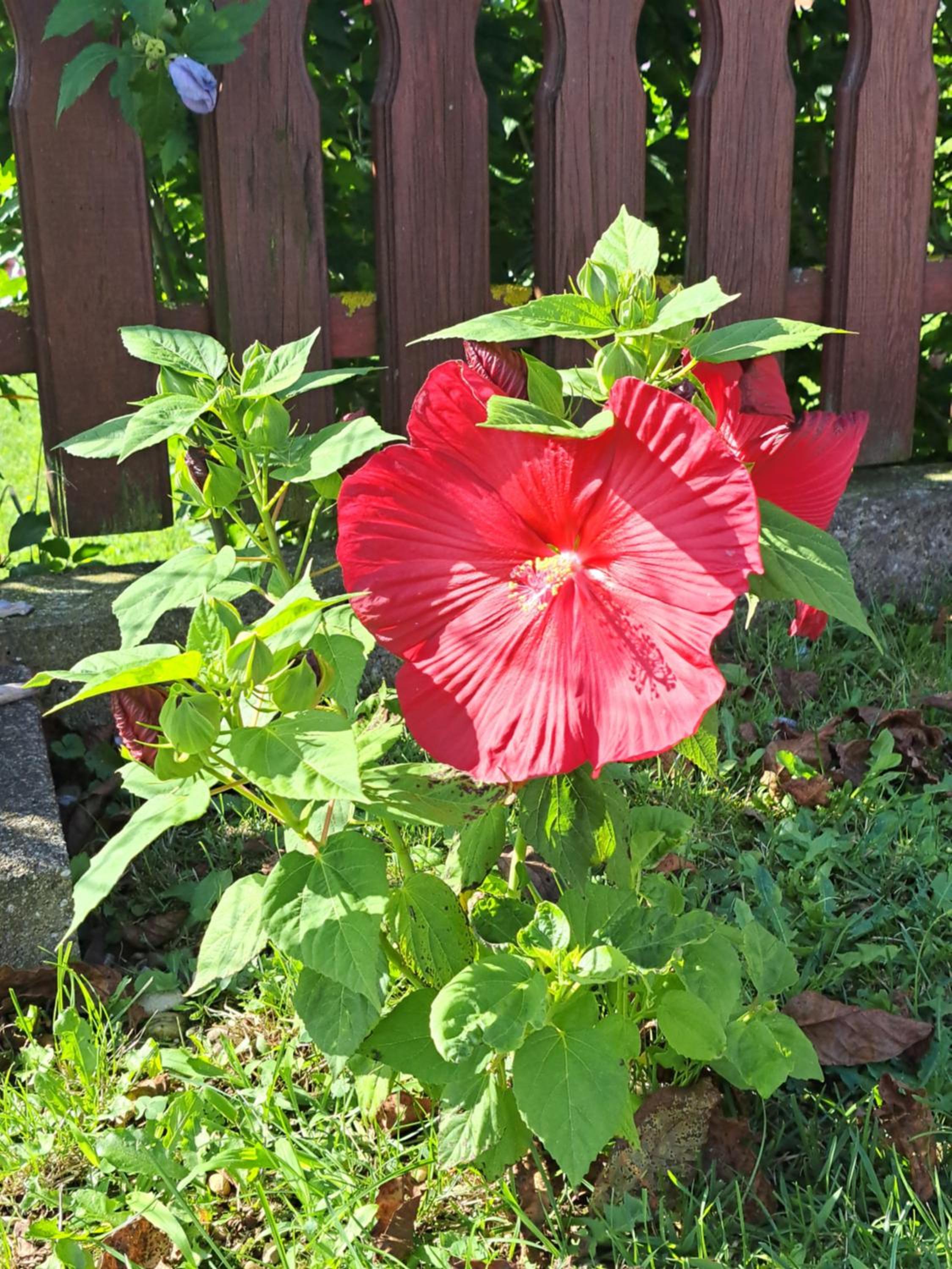 Photo 35