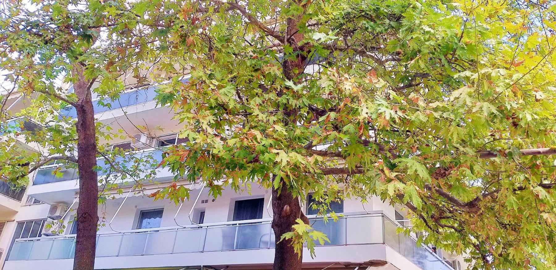 Blossom House Marousi & Parking