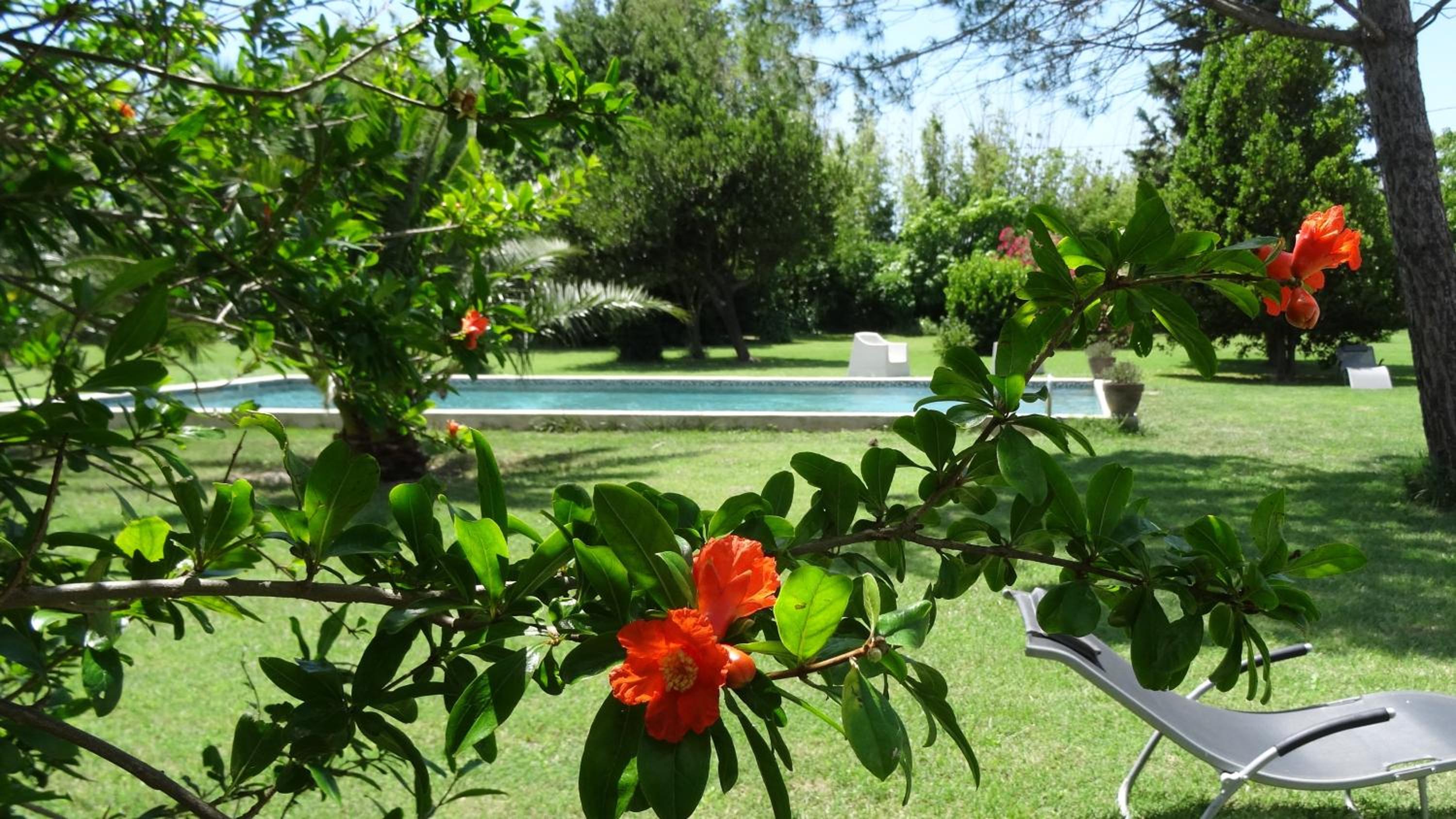Photo 23