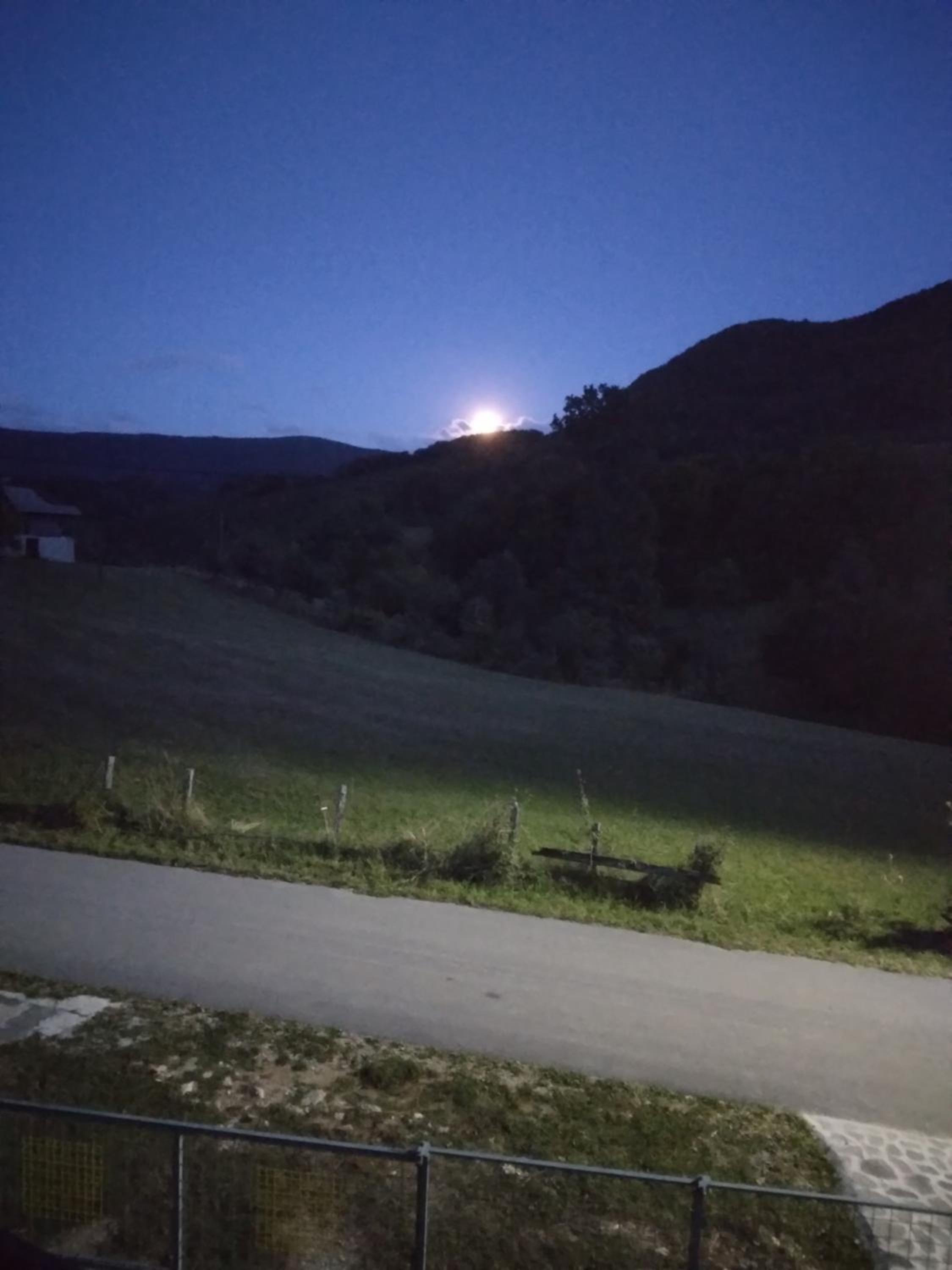 Apartman Natur